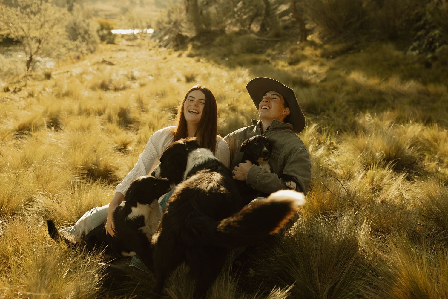 Two people rest together in golden grassy field while their dogs lay beside them during sunset.