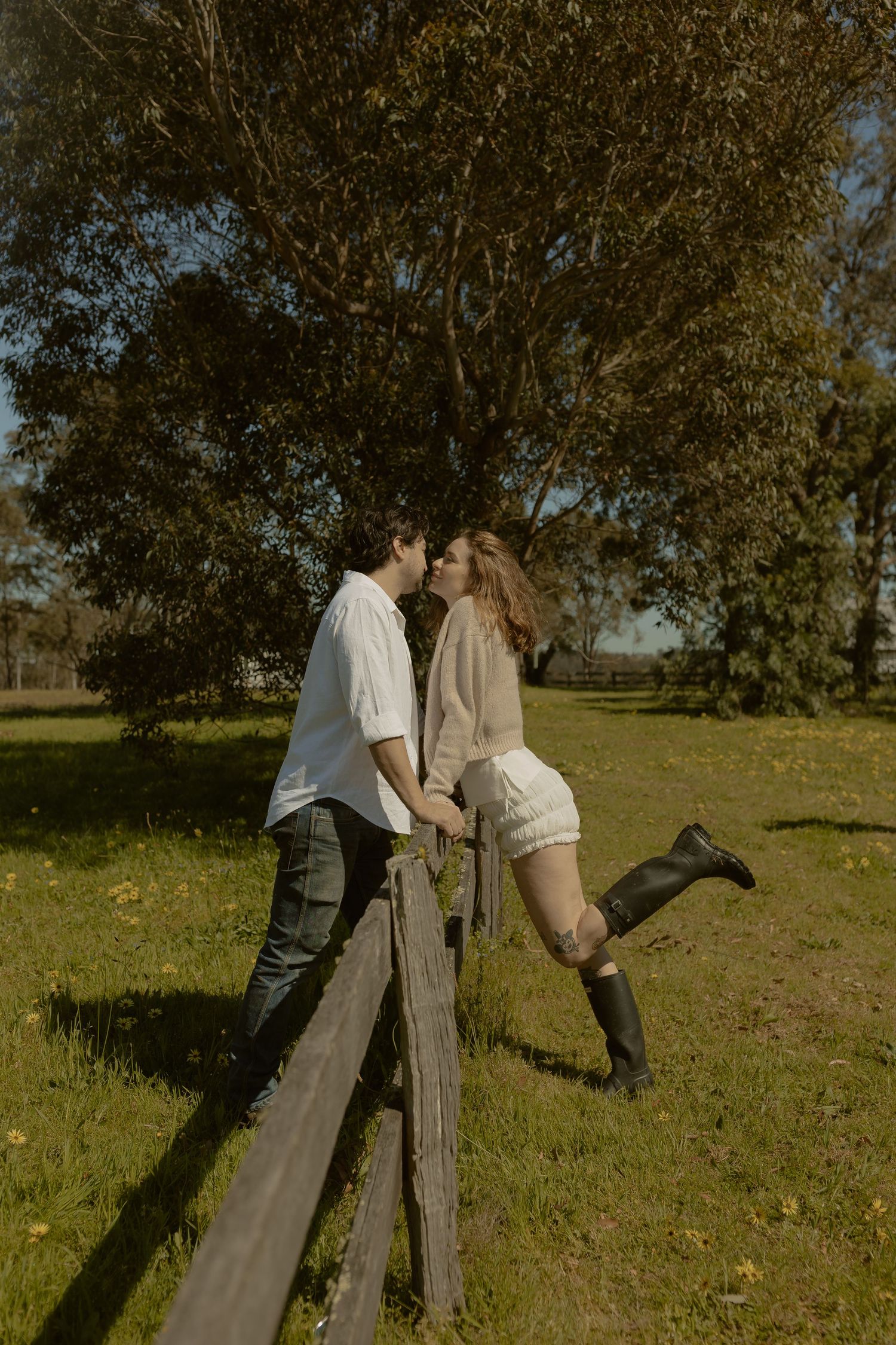 Romantic moment shared on a rustic wooden fence in a sunlit field.