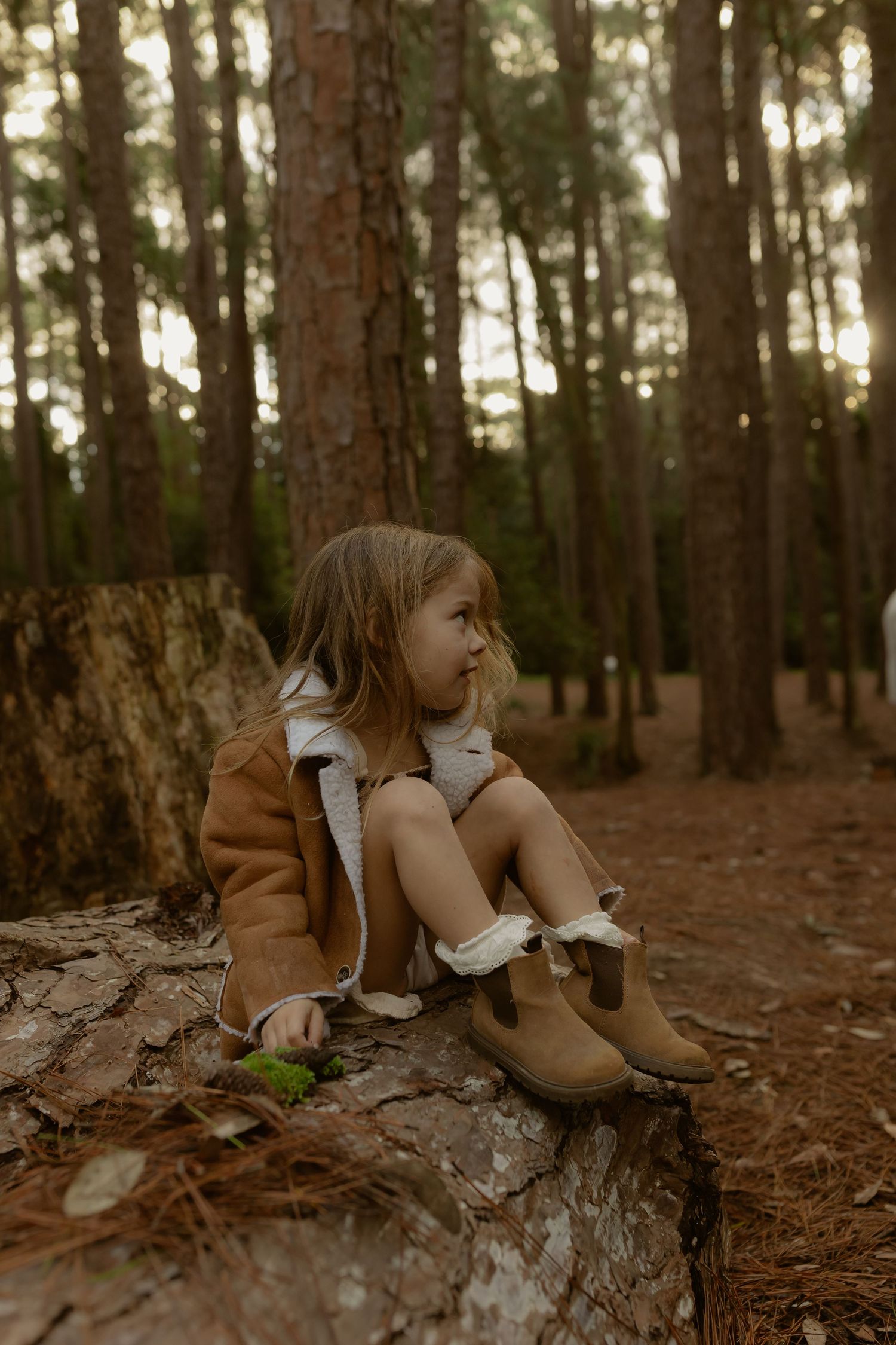 Young girl in brown shearling coat sitting on log gazing away in pine forest.