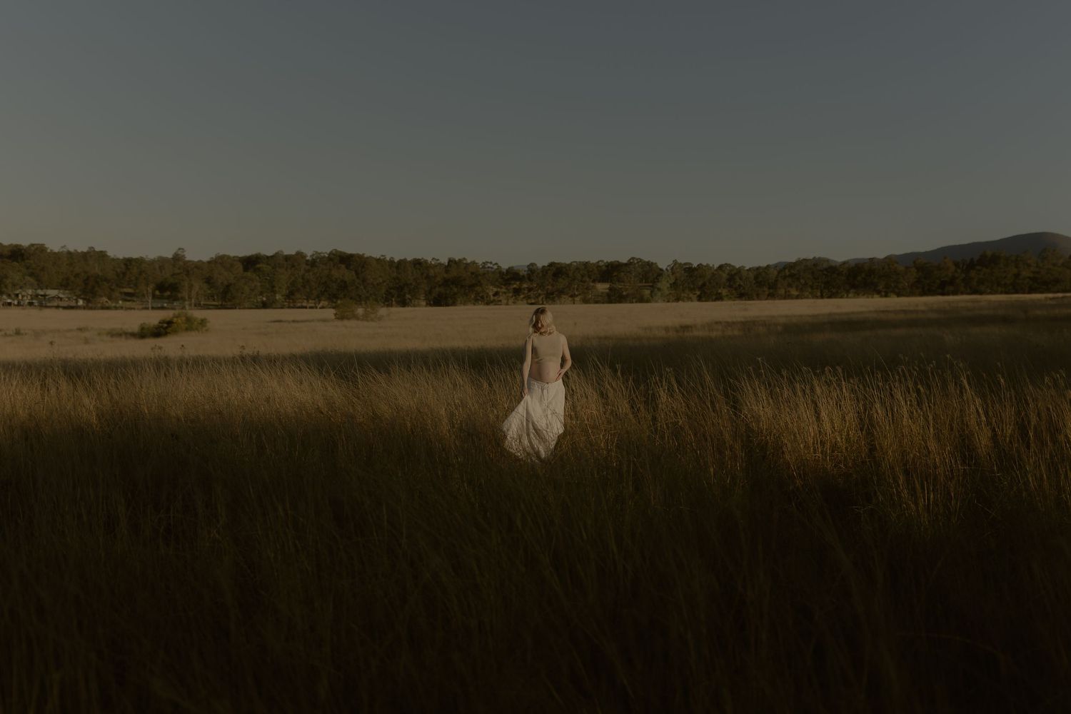 A bride in a white gown stands alone in a golden field with trees and blue sky in the background.