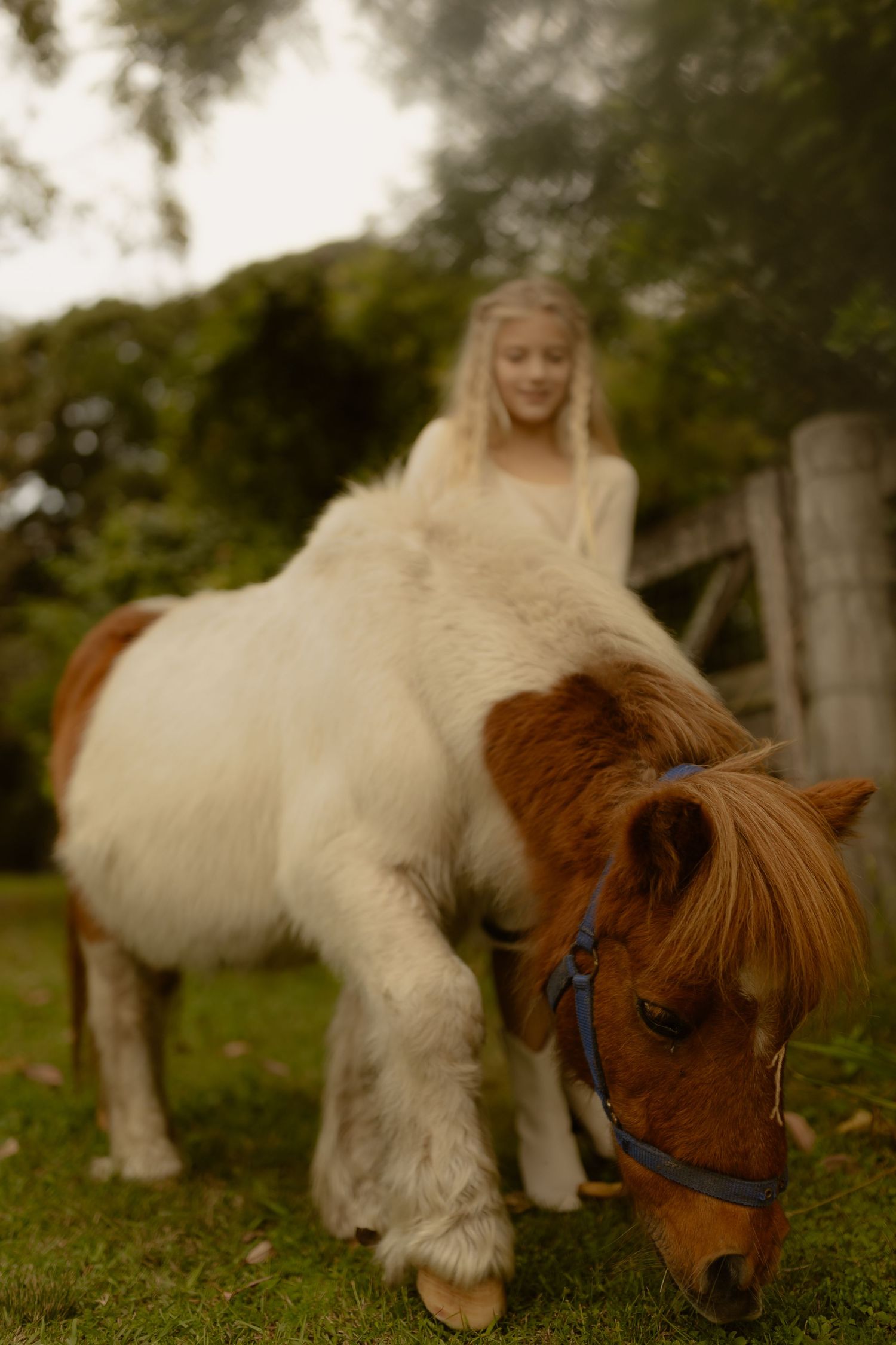 A young blonde girl sits atop a brown and white Shetland pony grazing on green grass outdoors.