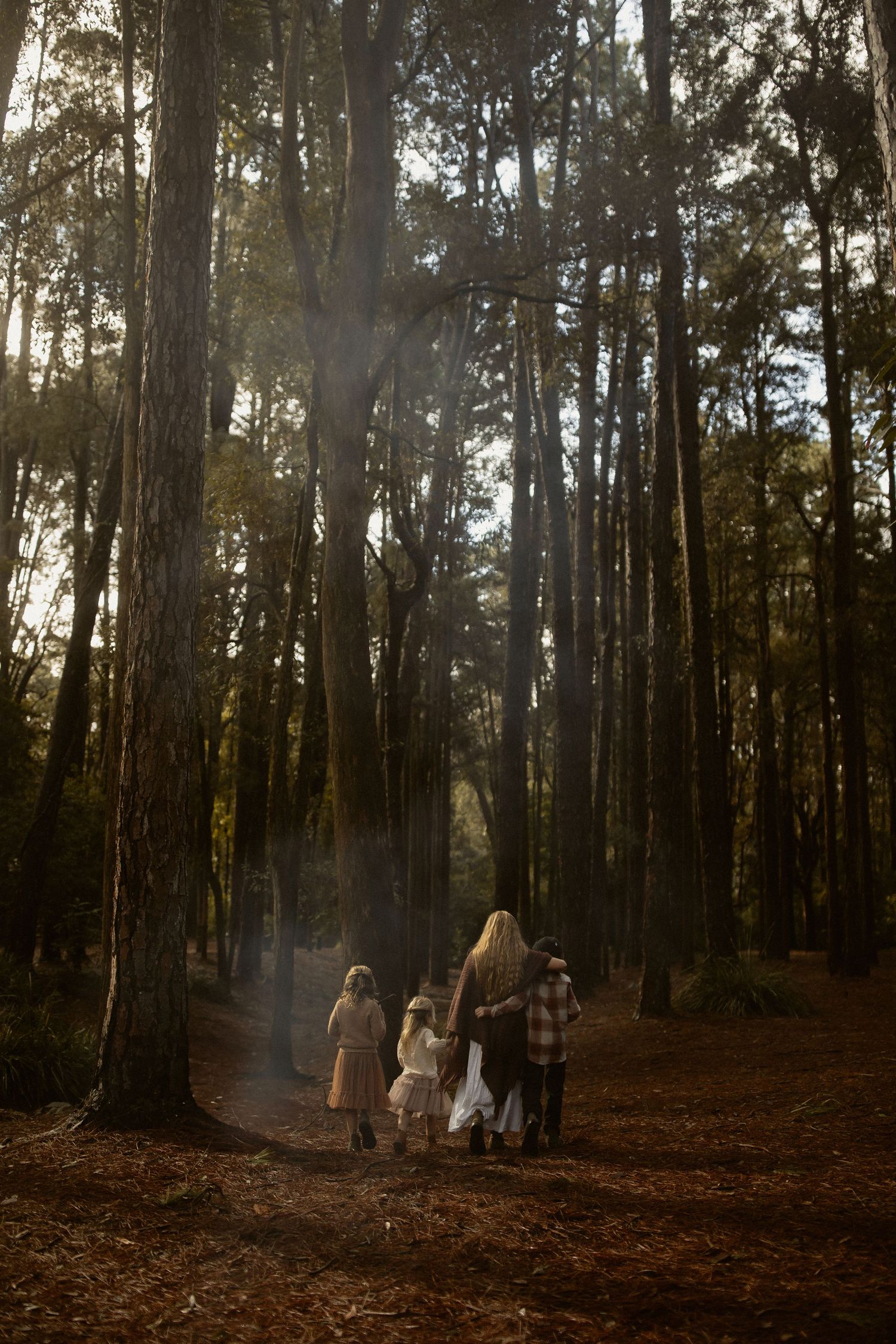 A group walks together through a misty forest trail with tall trees and golden sunlight filtering through.