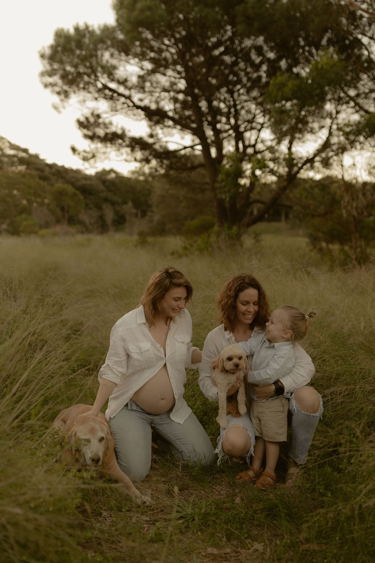 Family and dog enjoying a tender moment together in a grassy field at sunset.