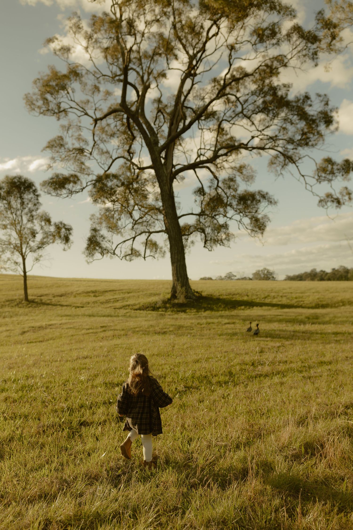 A young girl runs through a sunlit green field toward a large tree in a serene rural landscape.