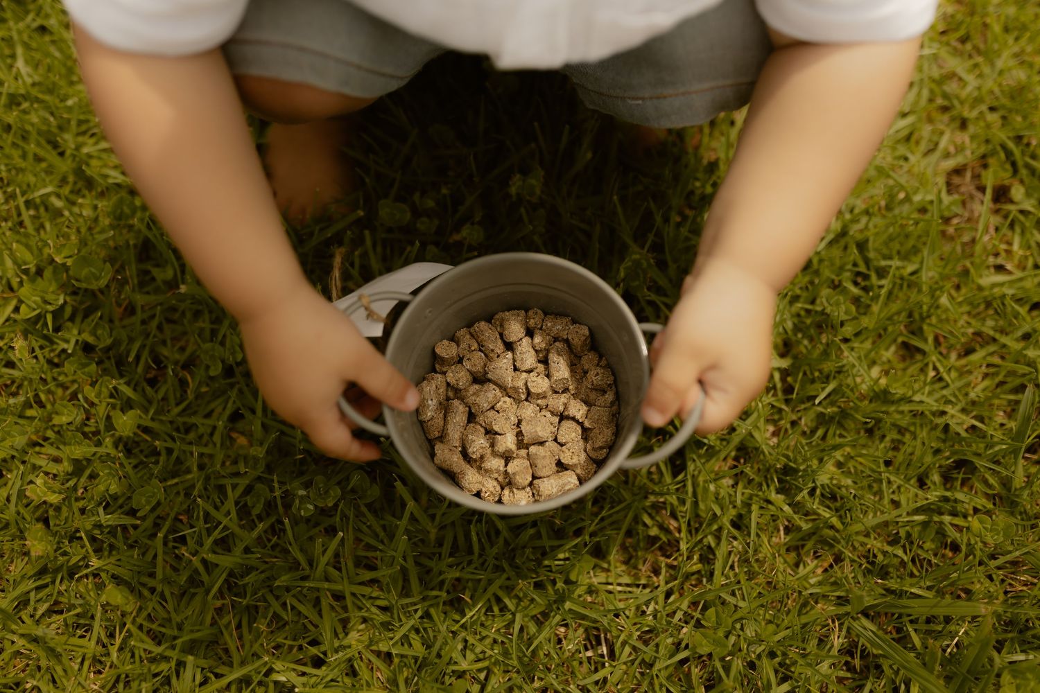 Hands holding a bowl of pet food or treats on grass outdoors.
