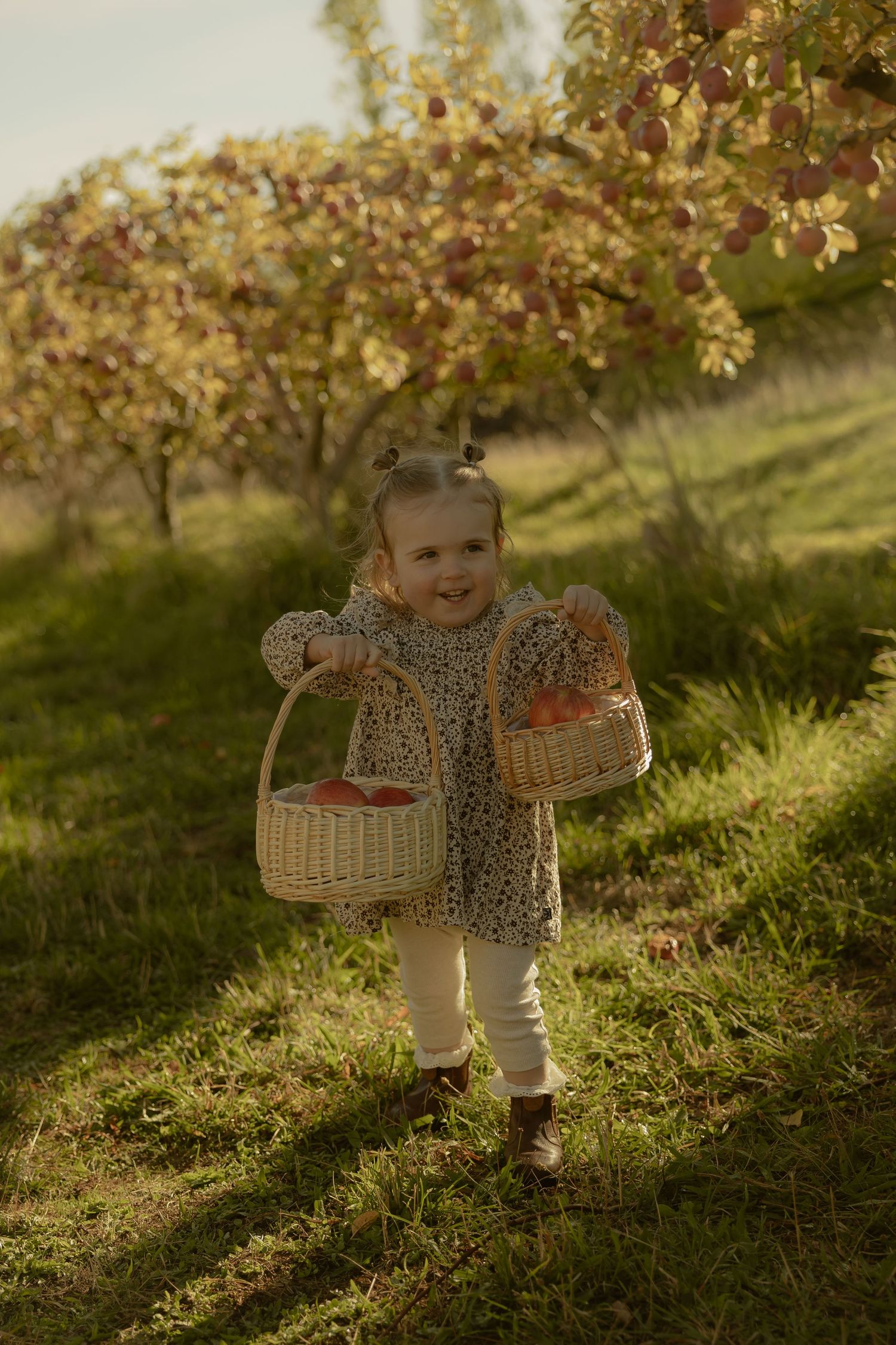 Outdoor family photography in Sydney, Central Coast, Blue Mountains, Wollongong and Kangaroo Valley, in field, farm, garden and countryside