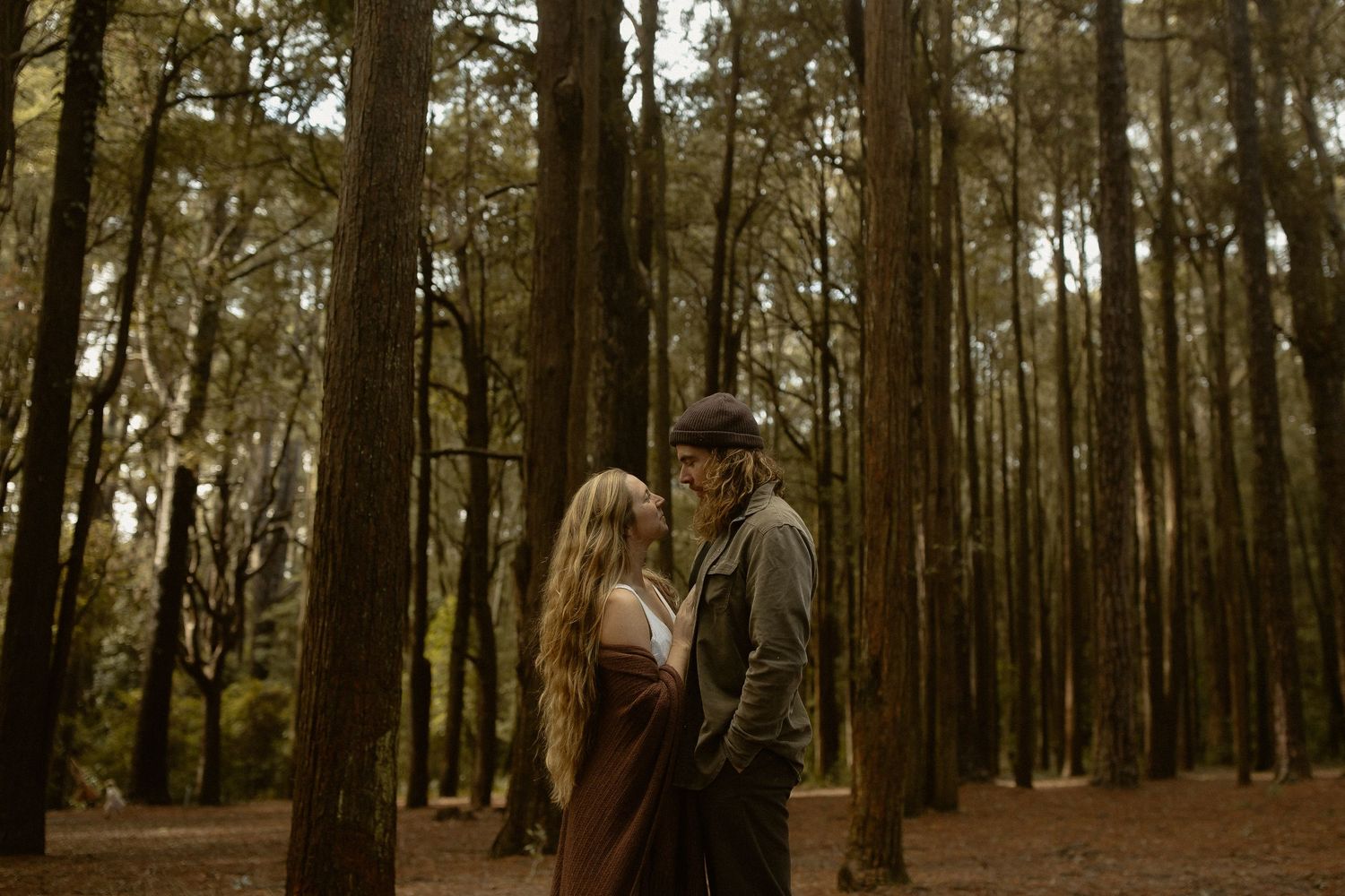 Two people share an intimate moment in a moody pine forest with golden sunlight filtering through the trees.