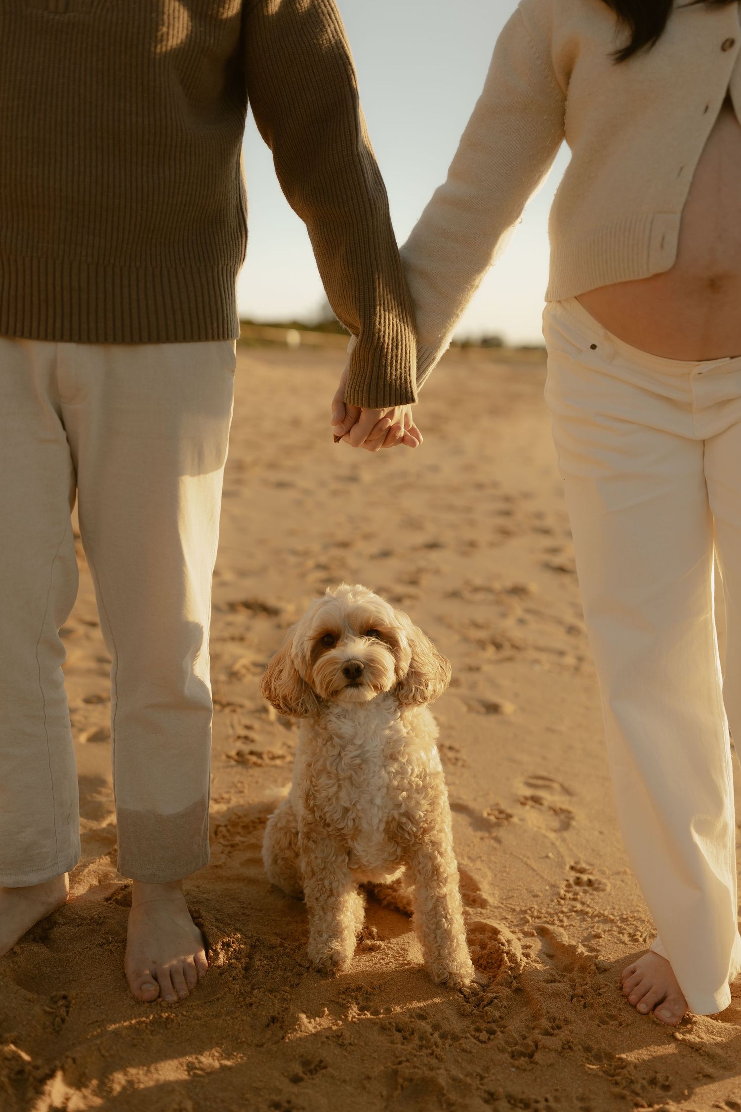 Couple holding hands on sandy beach with a fluffy golden Cavoodle puppy sitting between them at sunset.
