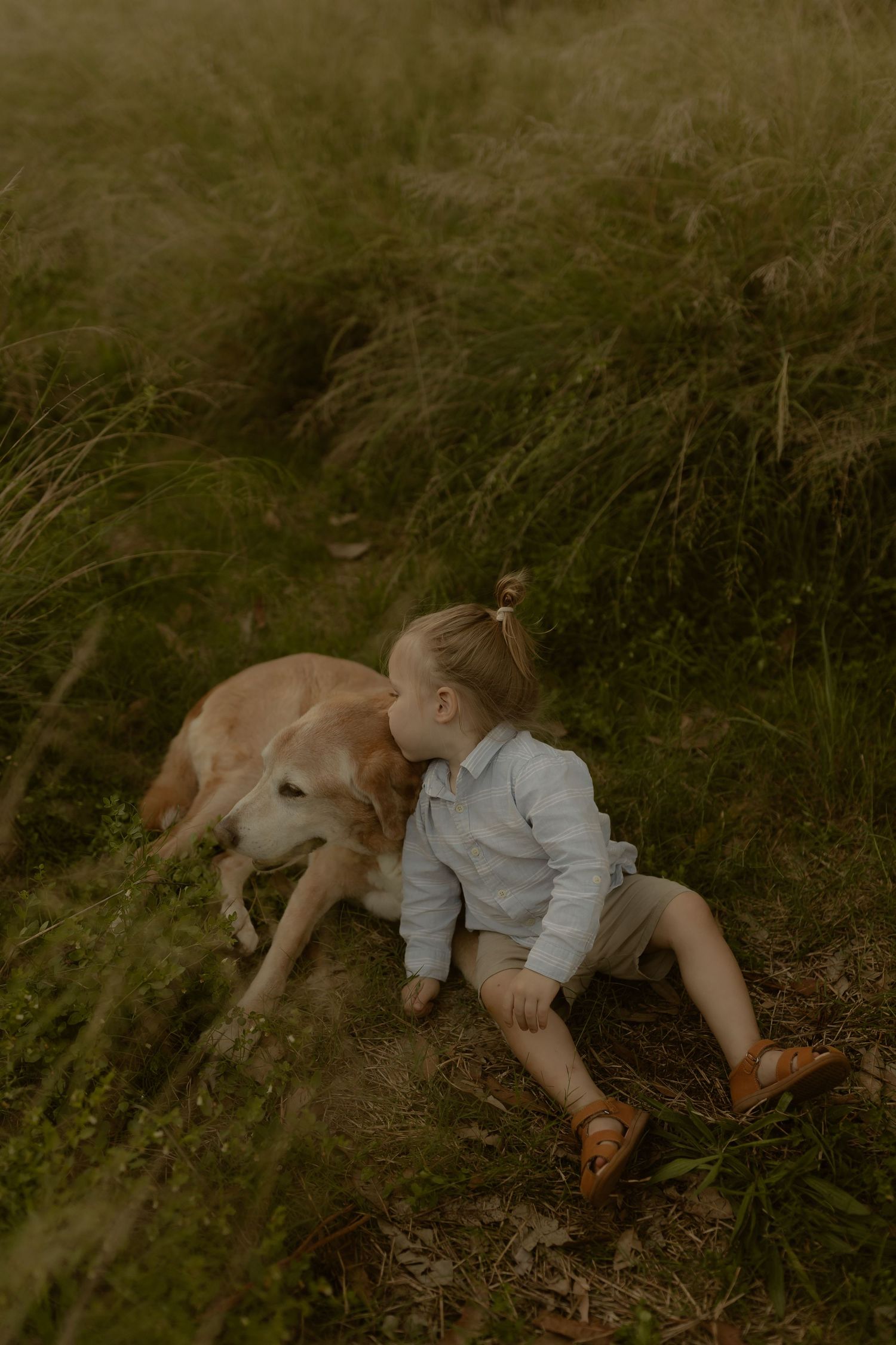 Child and dog resting together on ground in warm evening light.