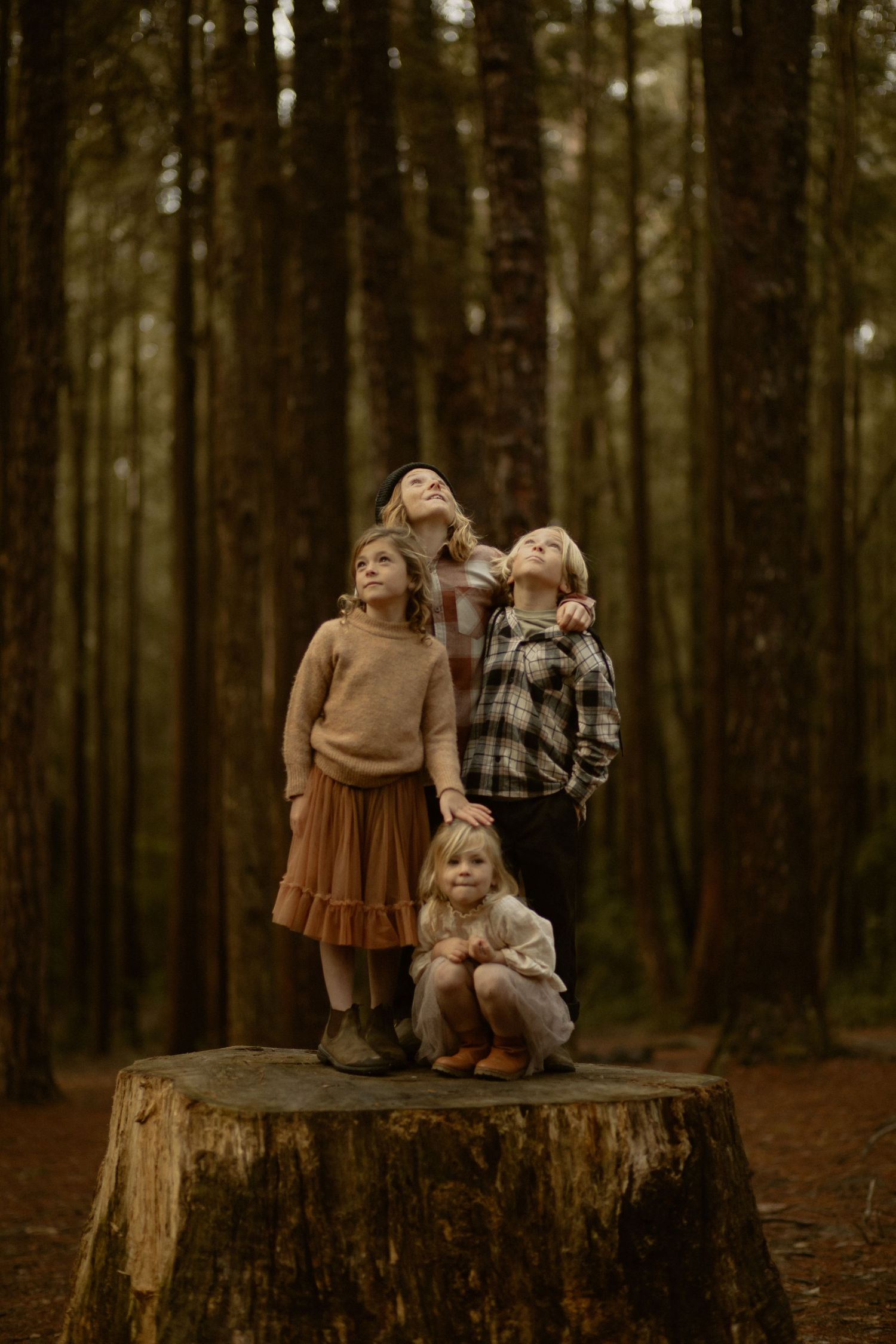Young children sitting on a large tree stump in a moody forest setting wearing vintage style clothing.