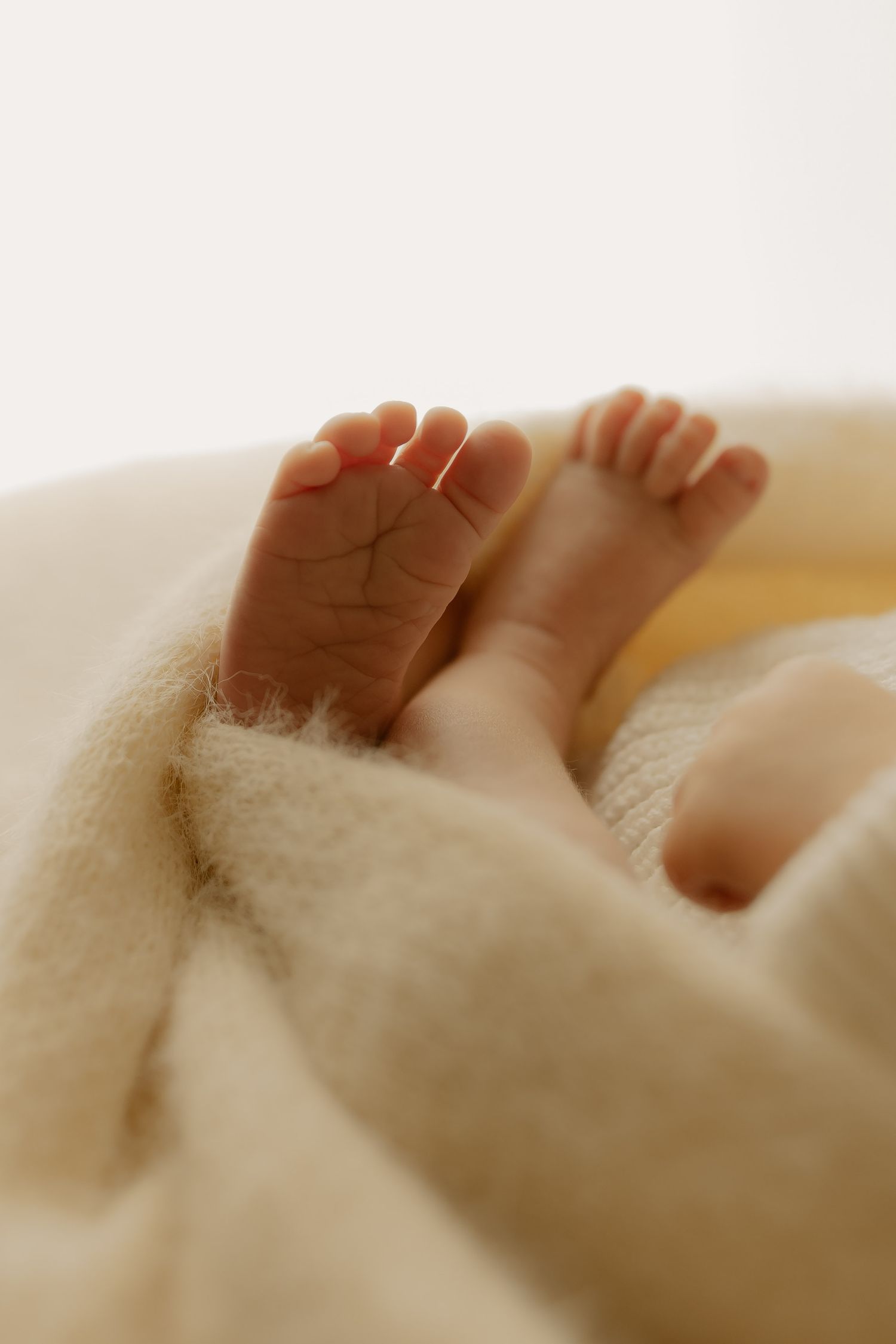 Close-up of tiny baby feet wrapped in soft white blanket showing delicate toes and skin texture.