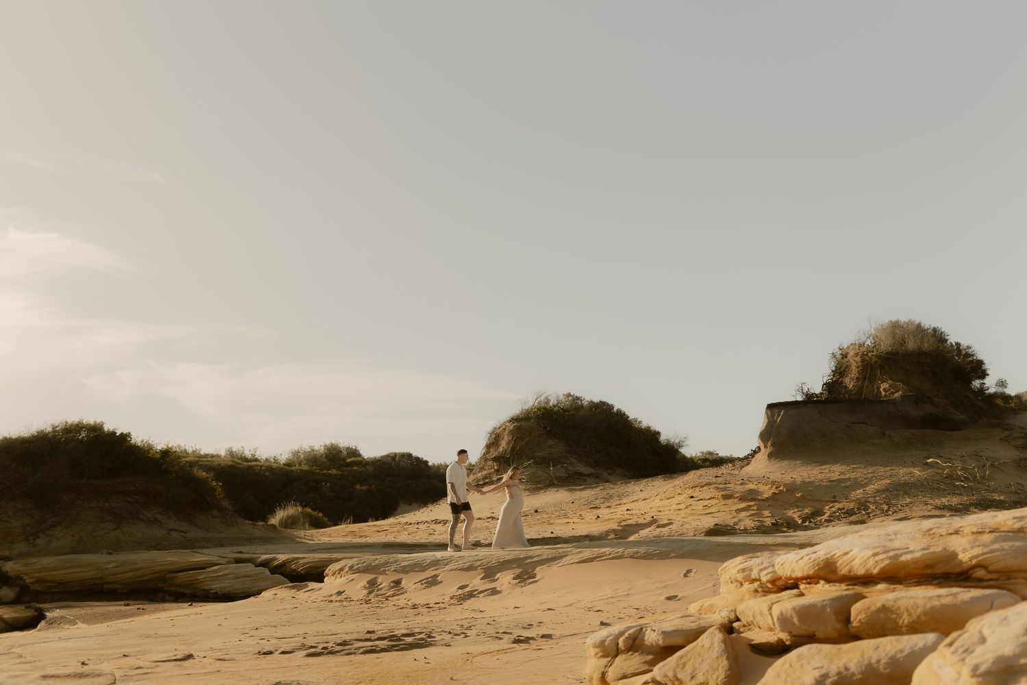 A panoramic view of a sandy beach landscape with dunes and vegetation stretching along the coastline.