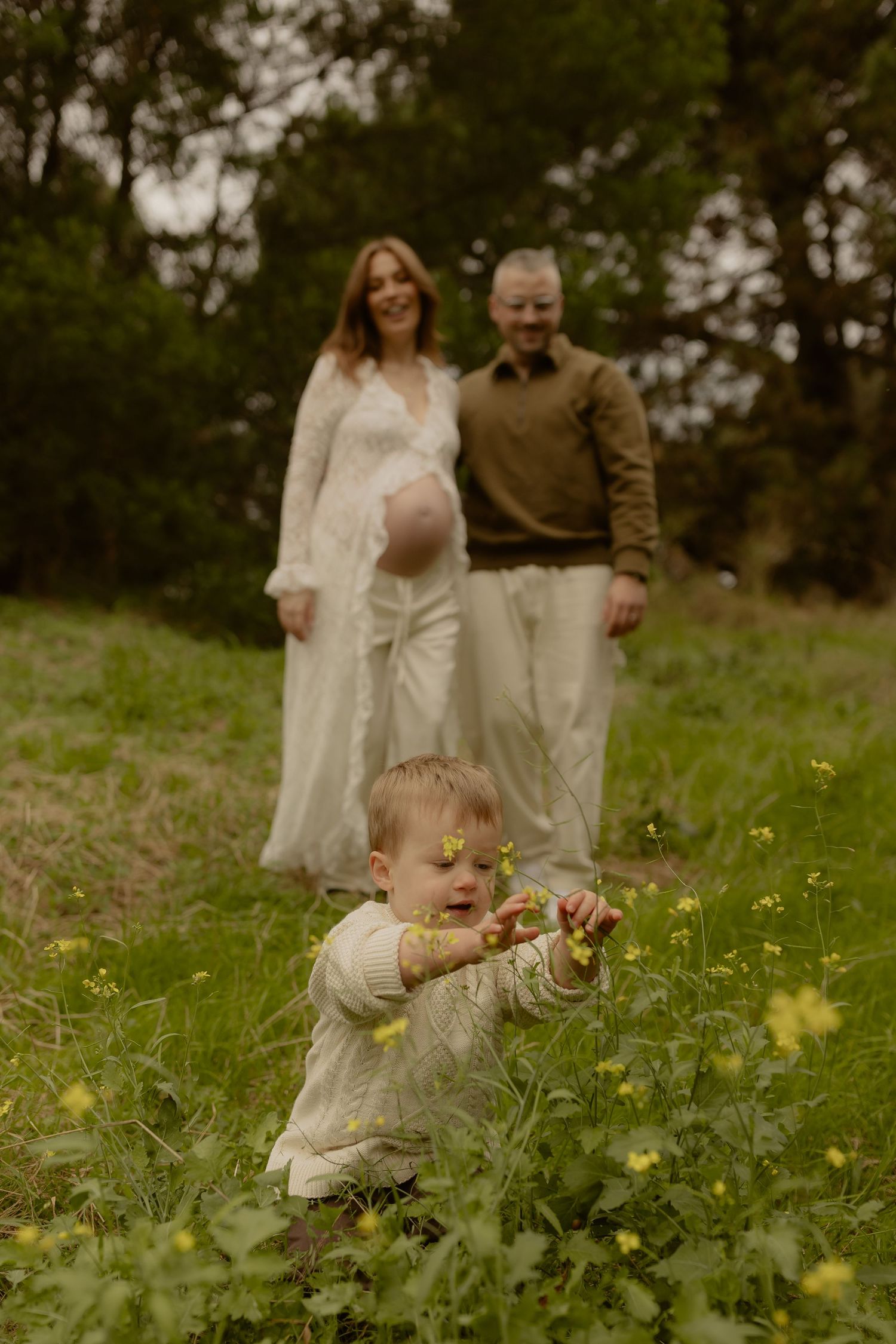 A toddler picks yellow wildflowers in a meadow while pregnant mother and father watch smiling in background.