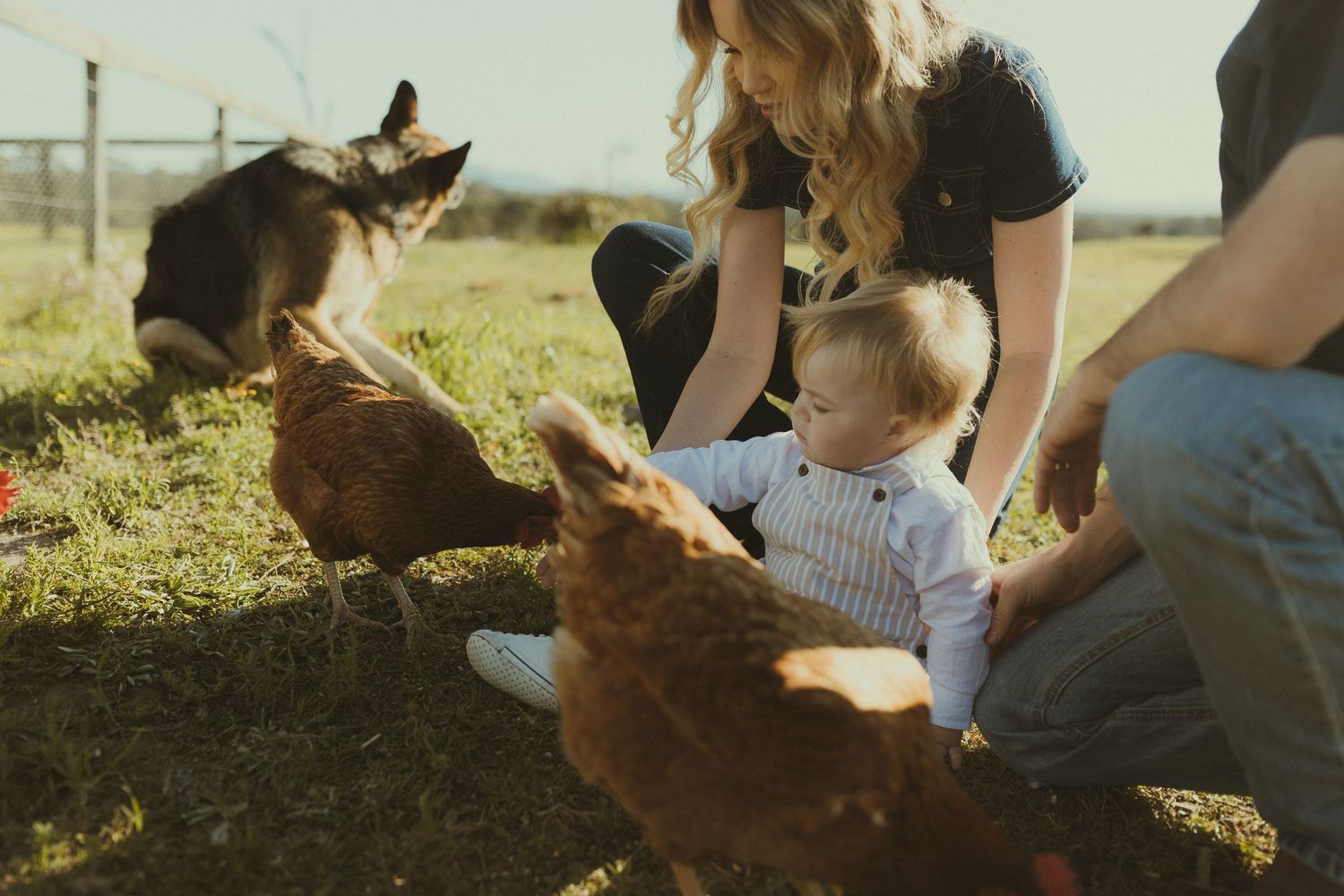 Family enjoying time with chickens on a sunny farm as they sit together in the grass.