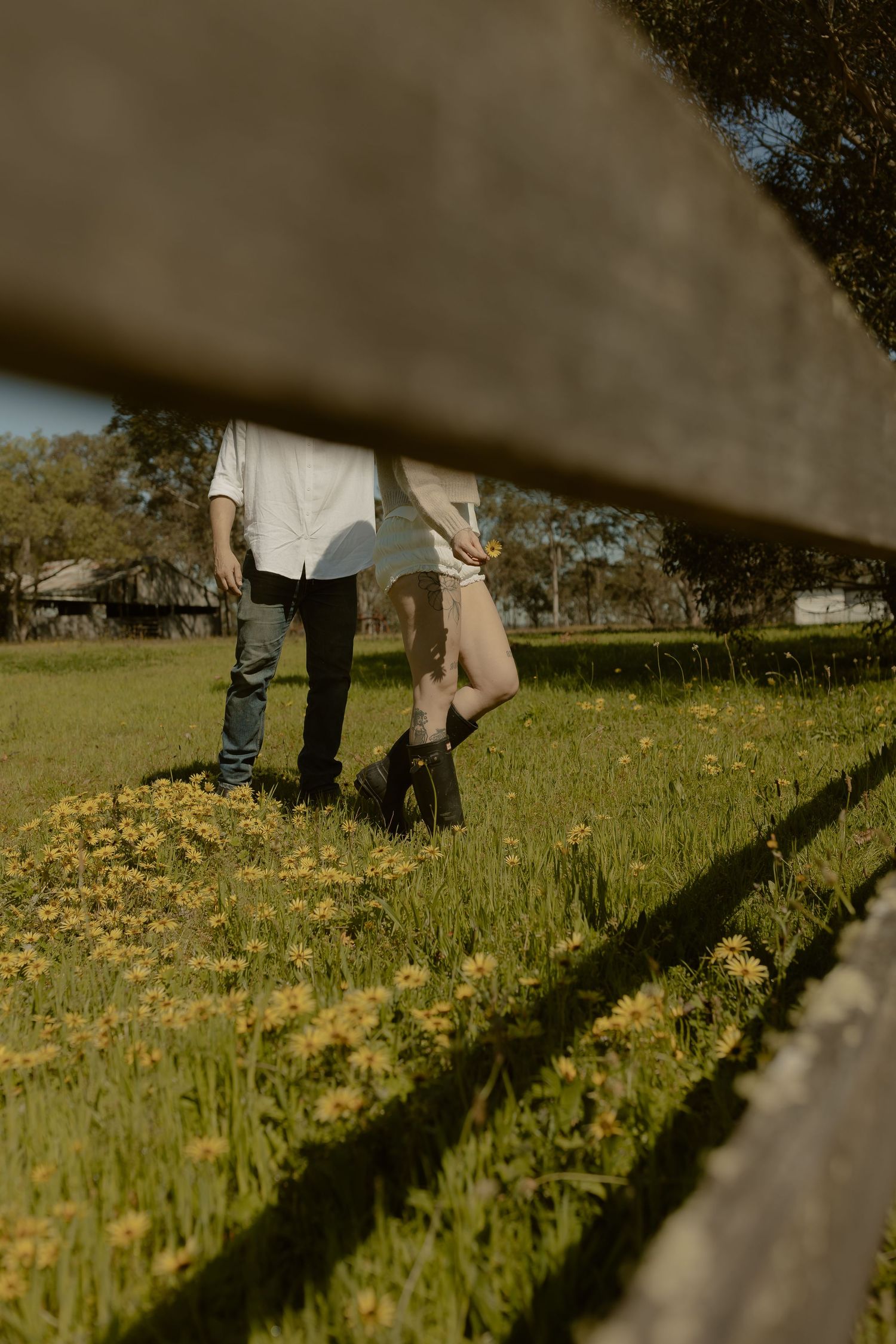 Low angle view through fence of figures moving in a sunlit meadow with yellow flowers.