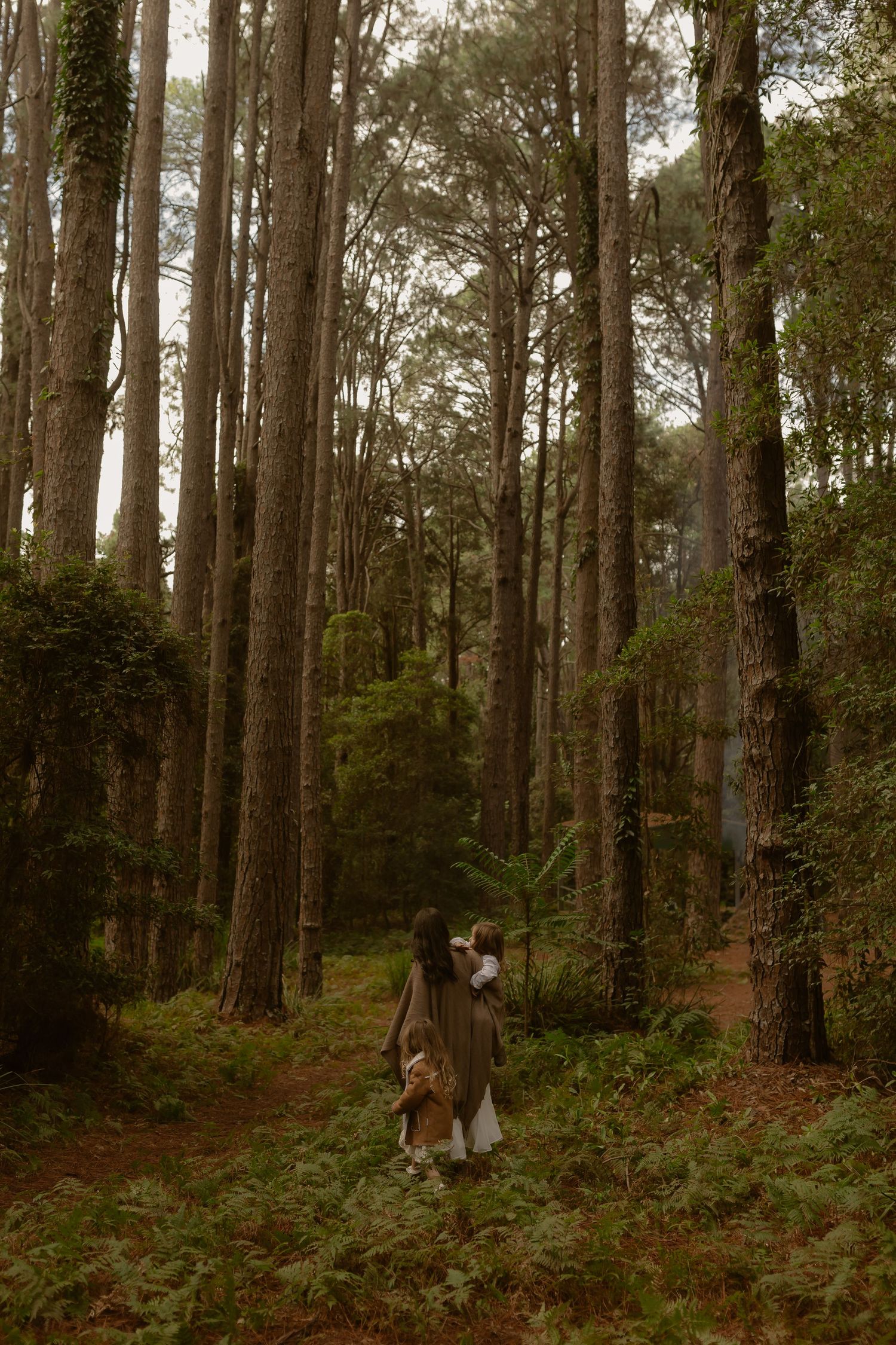 Couple embracing in a lush green forest surrounded by tall pine trees on a woodland path.