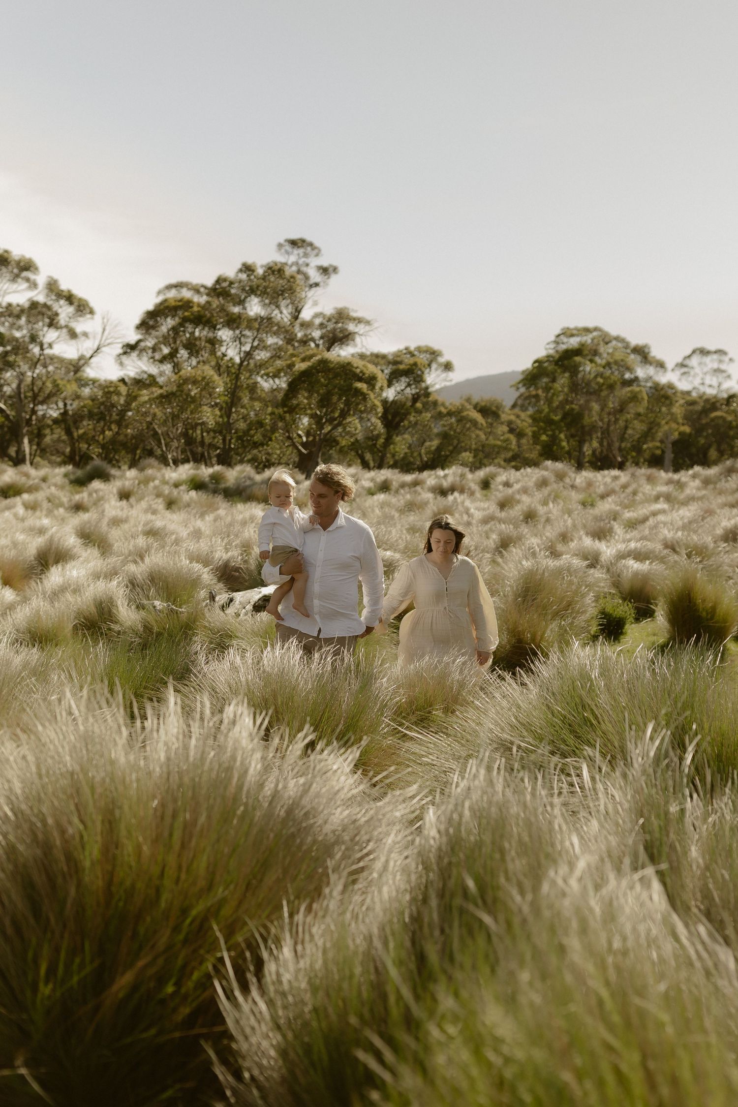People sitting together in a field of tall, golden grass with trees in the background at sunset.
