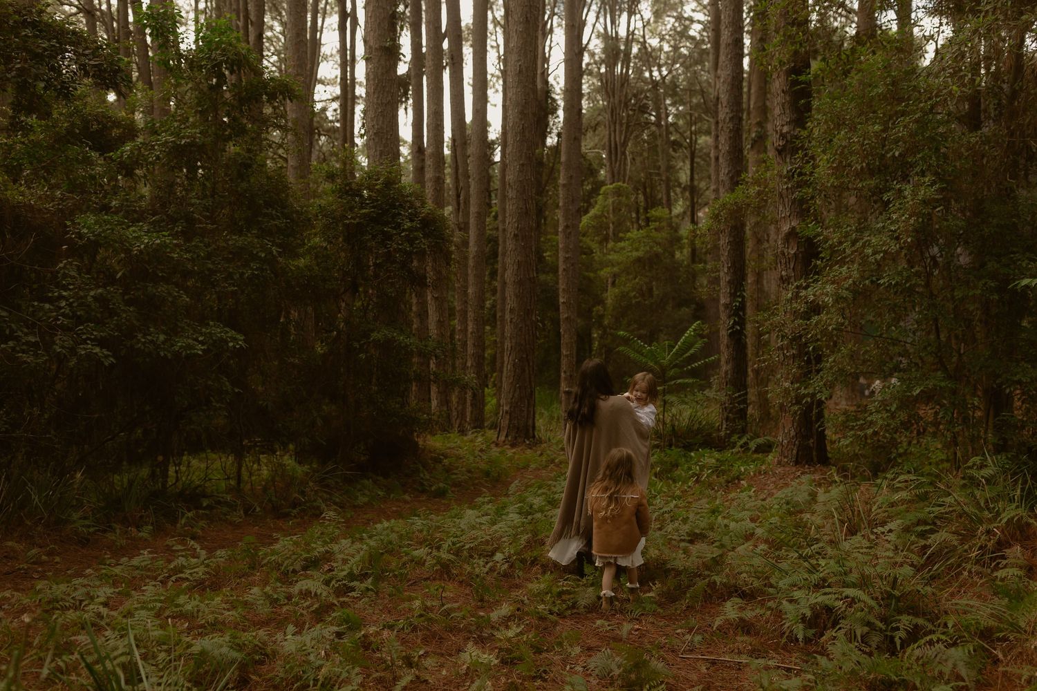Two figures walk through a lush green forest with tall pine trees and fern undergrowth in soft natural light.