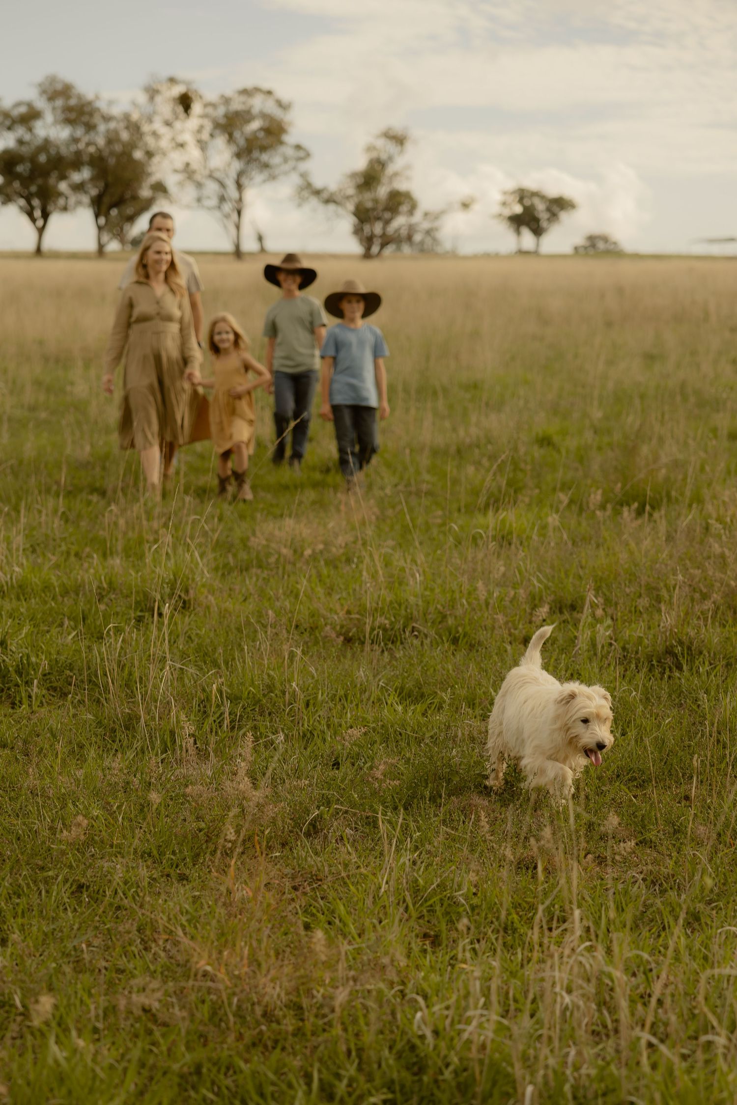 Outdoor family photography in Sydney, Central Coast, Blue Mountains, Wollongong and Kangaroo Valley, in field, farm, garden and countryside