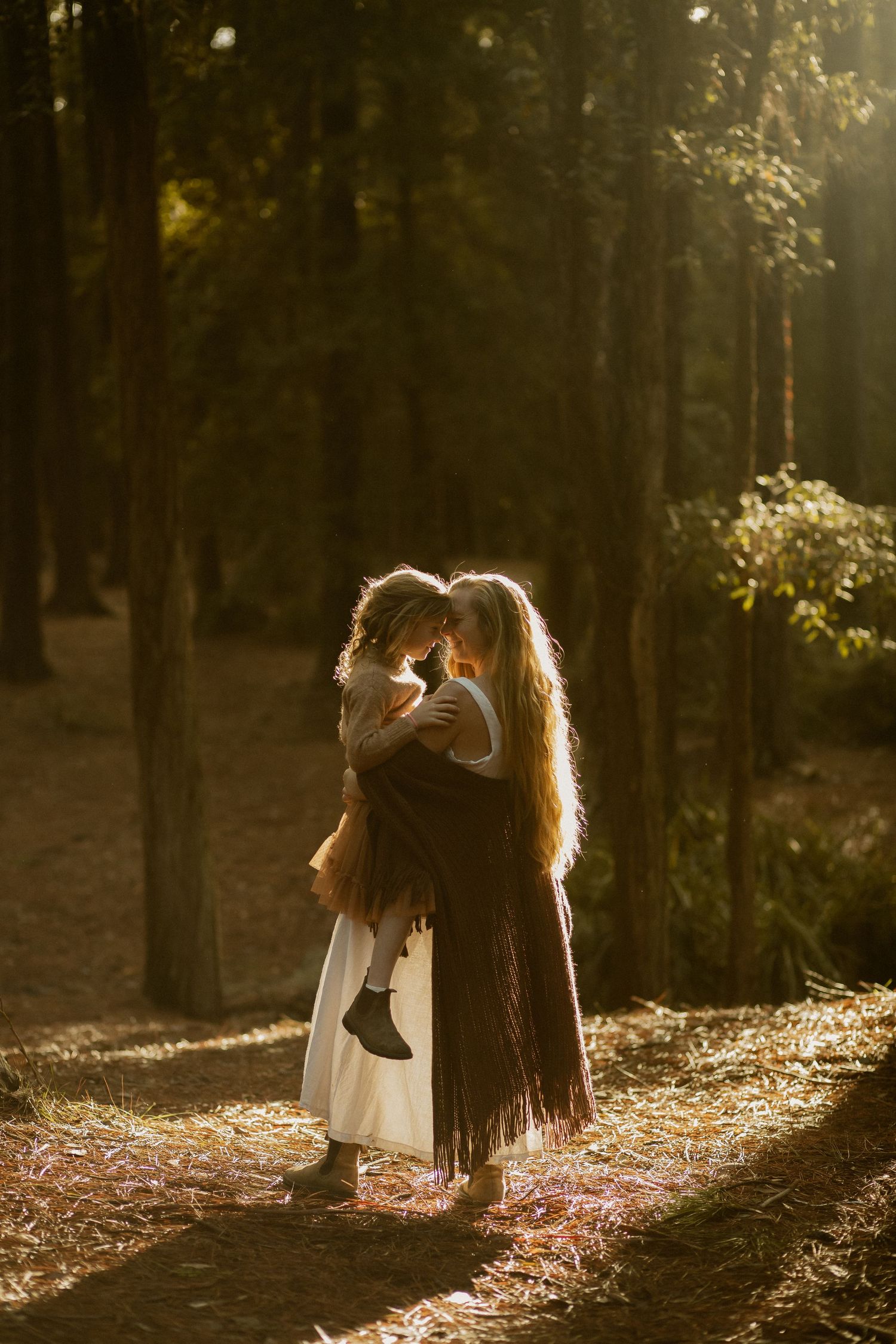 Two figures embracing on a sunlit forest path surrounded by tall trees and golden afternoon light.