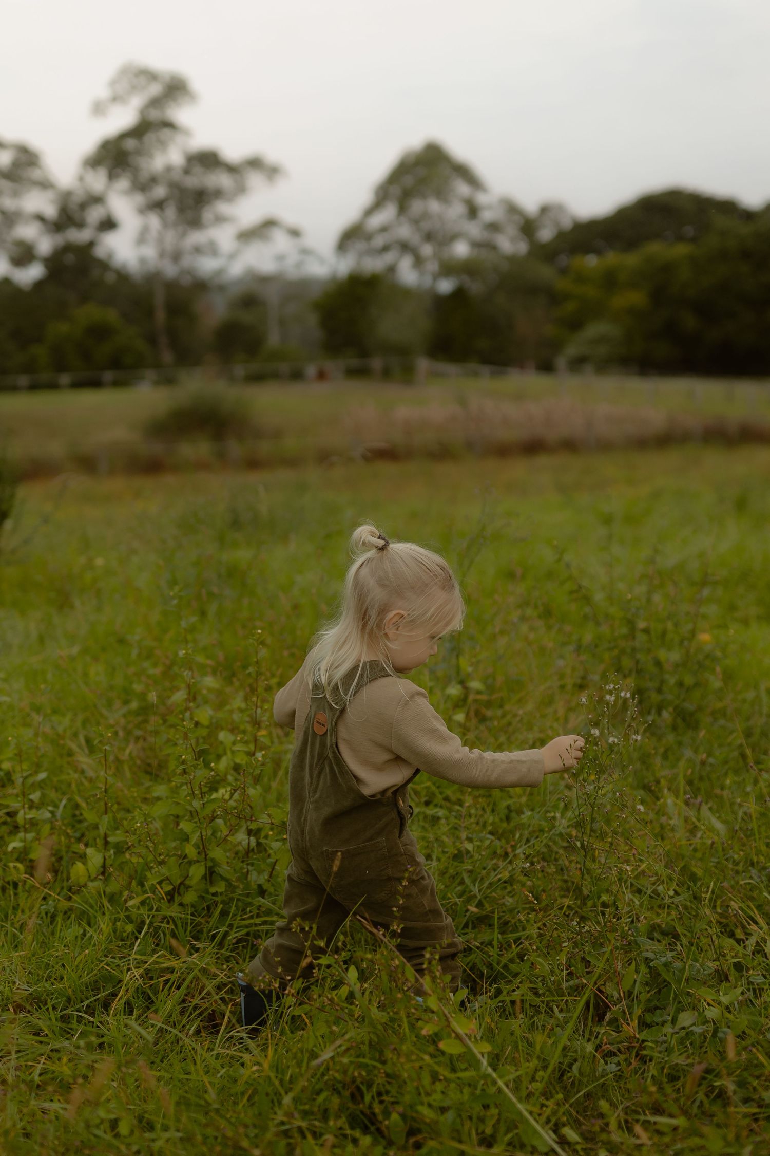 A toddler in olive green overalls walks through lush grass in a scenic rural field with trees in the background.