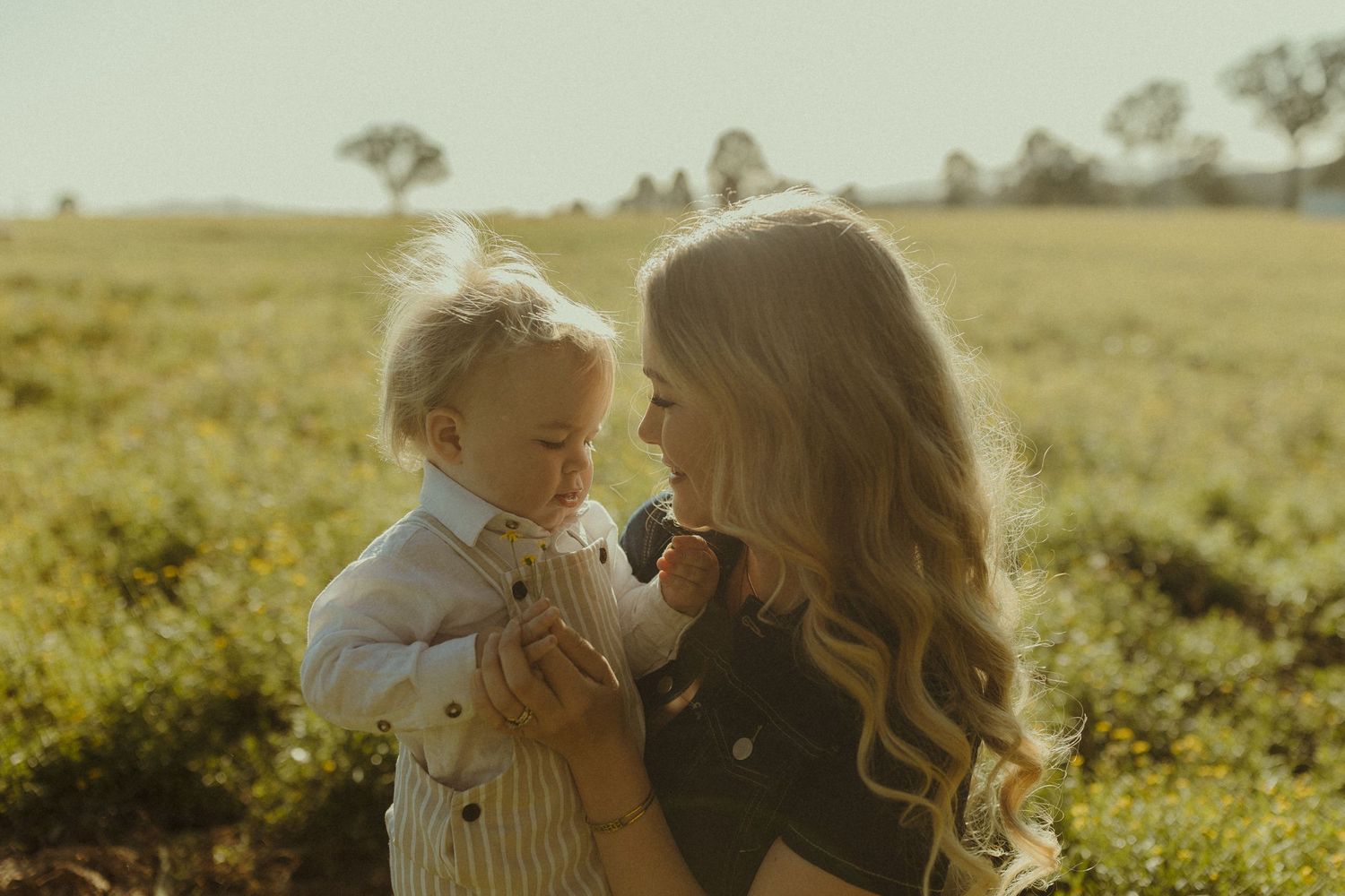 Family shares tender moments together in a sunlit field during golden hour.