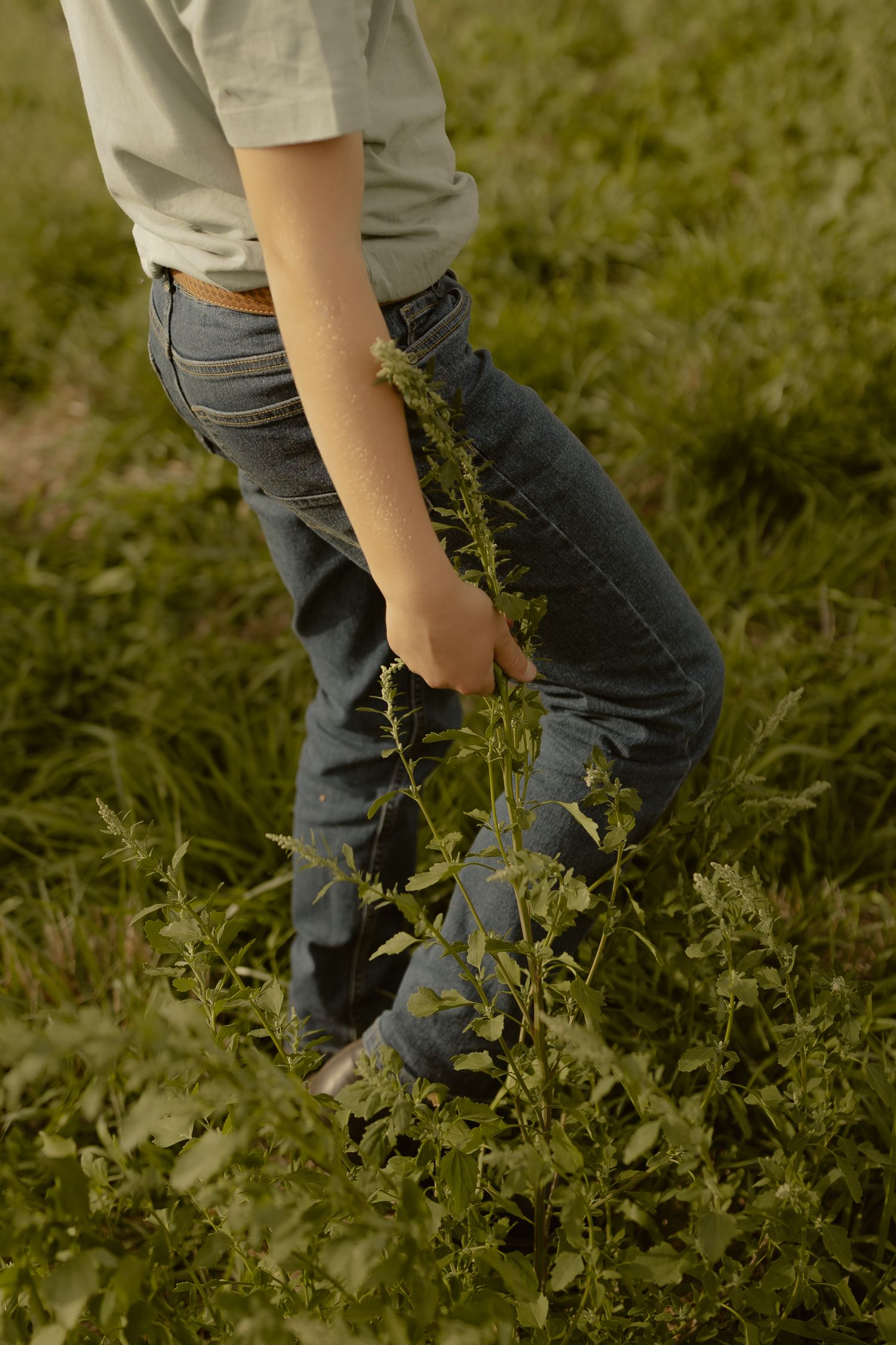 Outdoor family photography in Sydney, Central Coast, Blue Mountains, Wollongong and Kangaroo Valley, in field, farm, garden and countryside