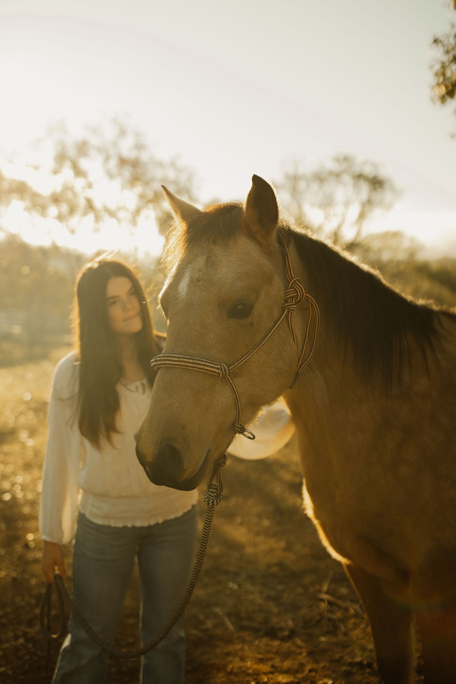 A beautiful brown horse and its companion share a tender moment in golden sunset light against a dreamy rural backdrop.