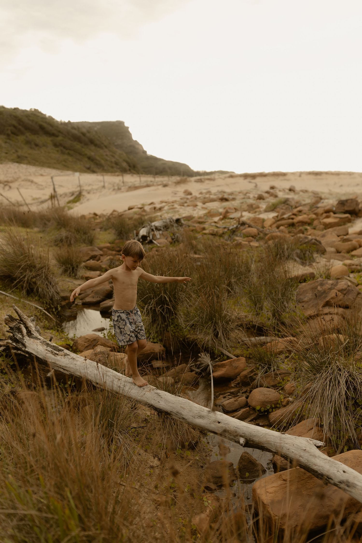 Weathered driftwood log lies scattered among coastal grass and sand dunes in muted sepia tones.