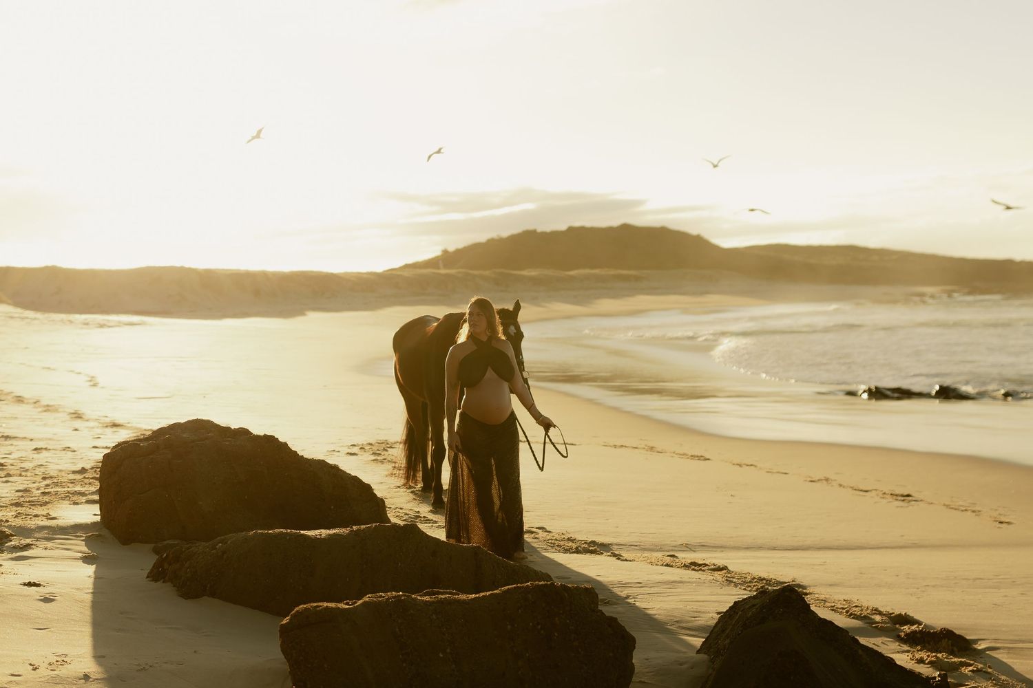 Person leading a horse along a sandy beach at golden sunset with seabirds flying over the ocean waves.