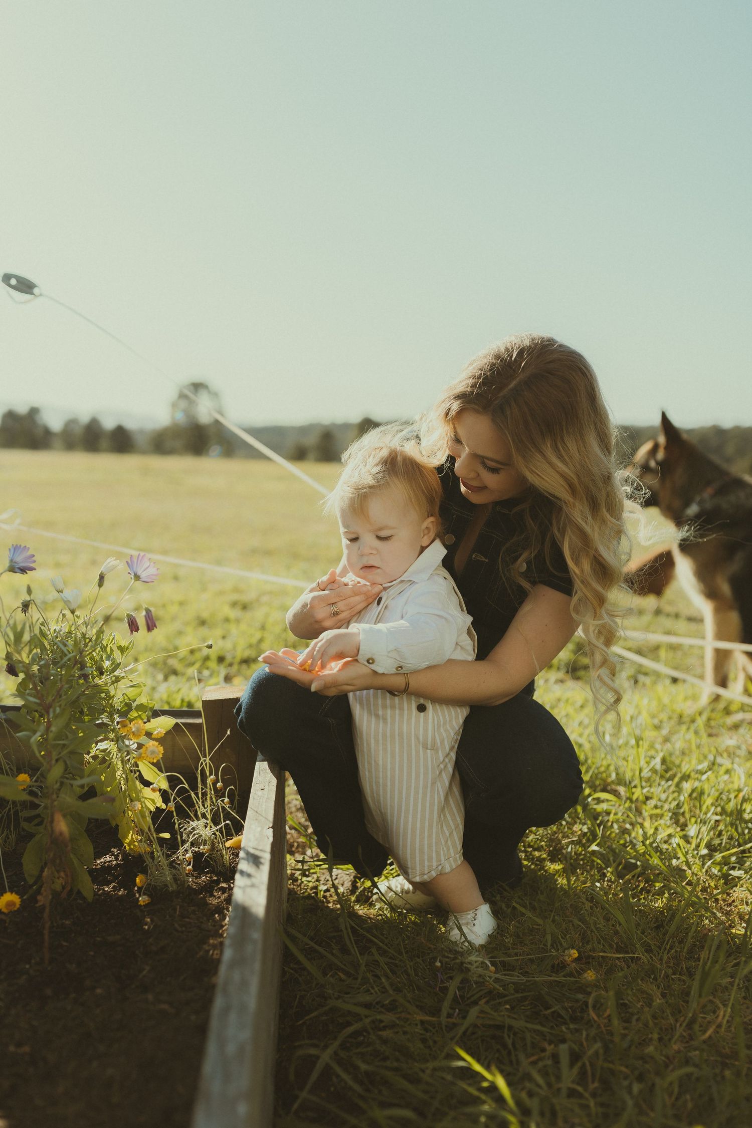 Parent and child blowing bubbles together in a sunlit meadow with wildflowers.