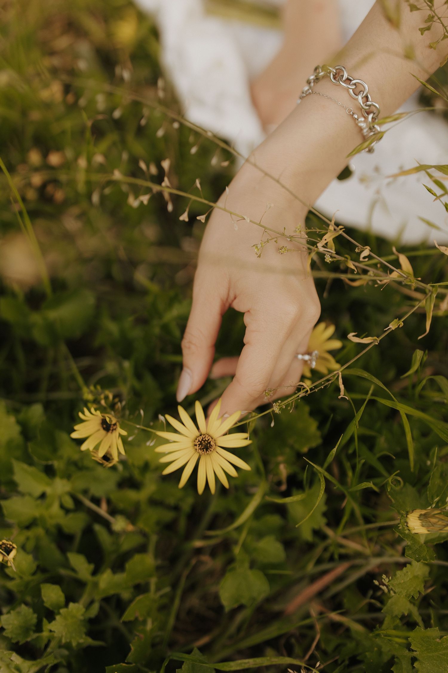 Delicate hand reaches to touch yellow wildflowers growing in green grass.