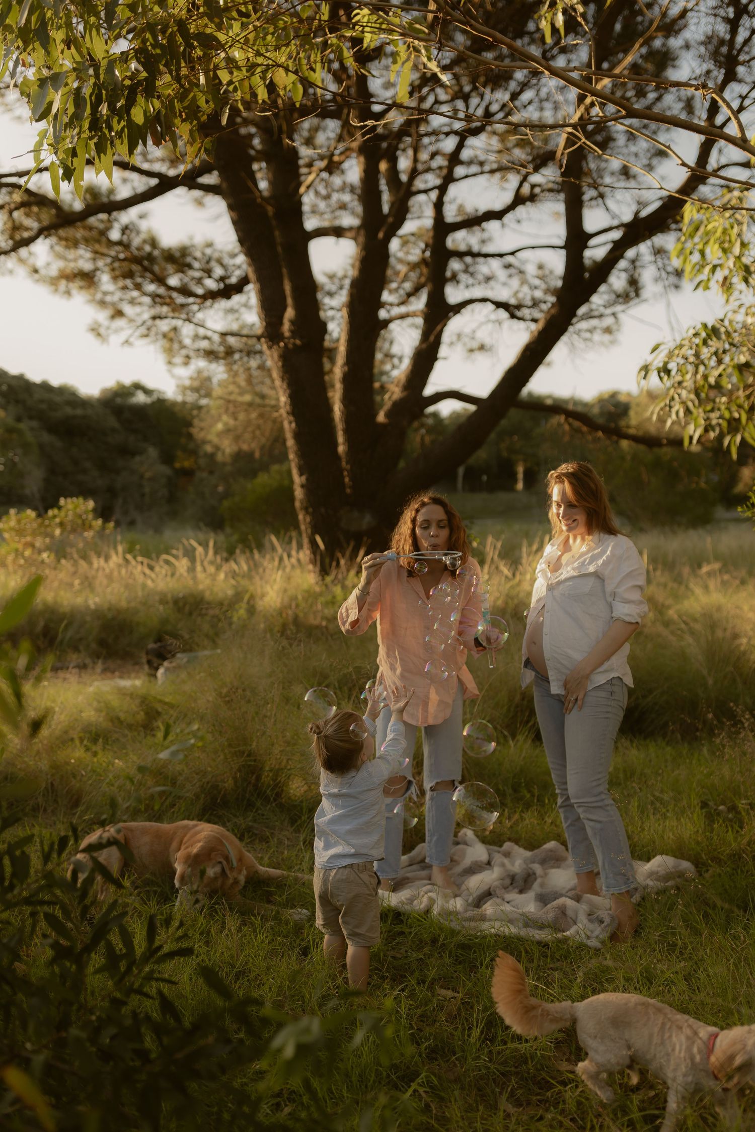 Family and dog playing together in a natural outdoor setting with trees.