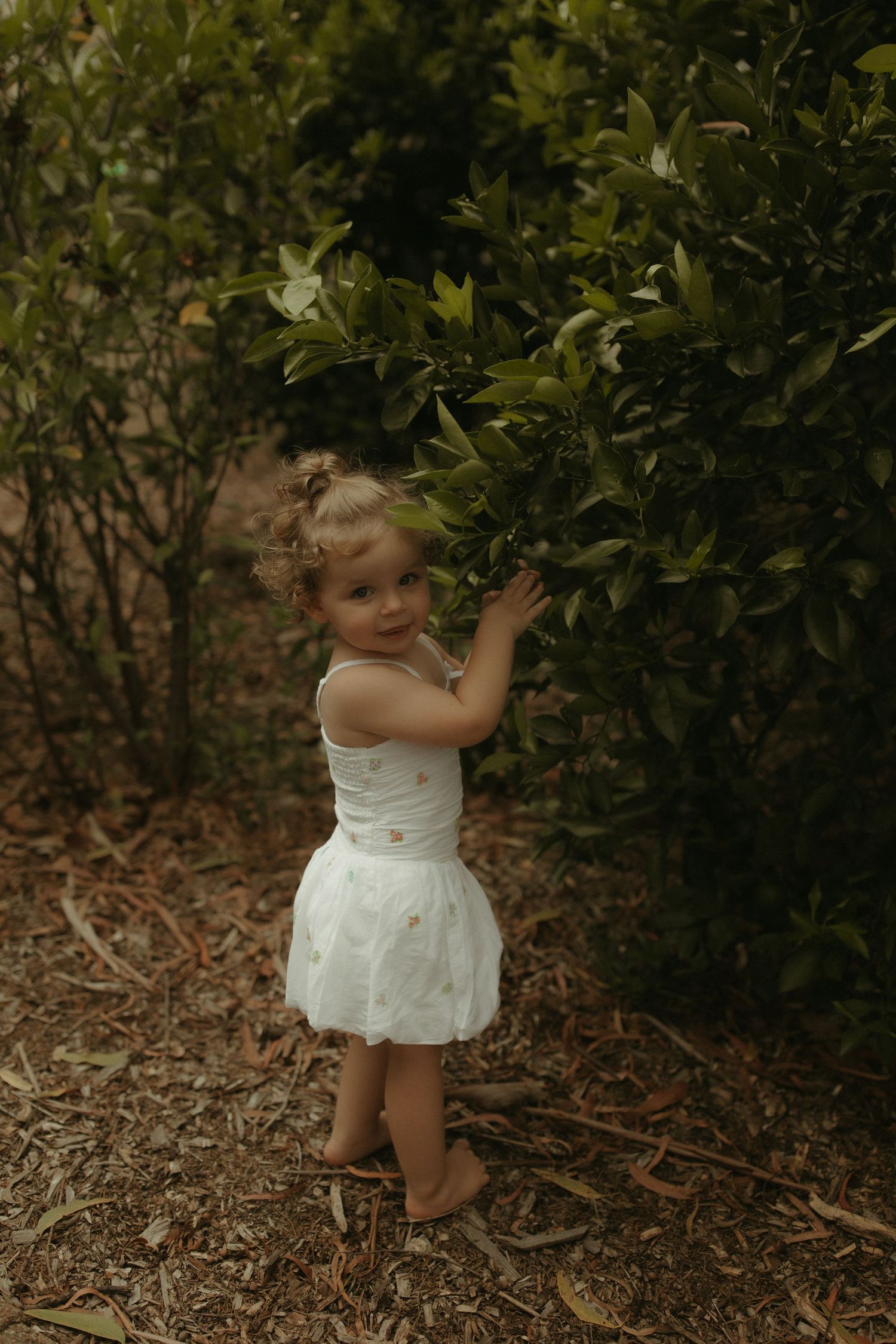 A toddler in a white dress explores a garden path surrounded by lush green foliage.