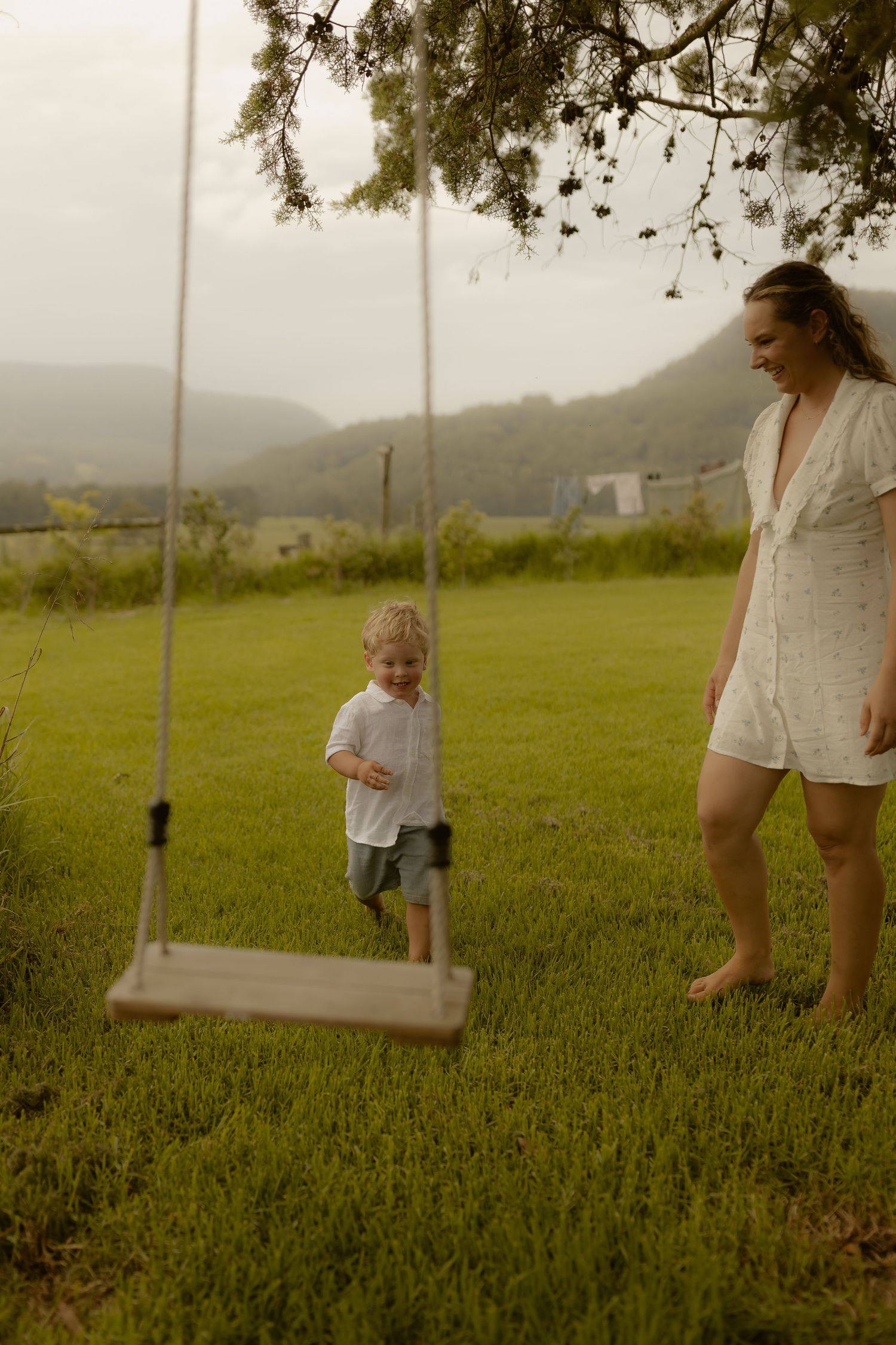 A rustic tree swing sways in a grassy field with mountains visible in the distance.