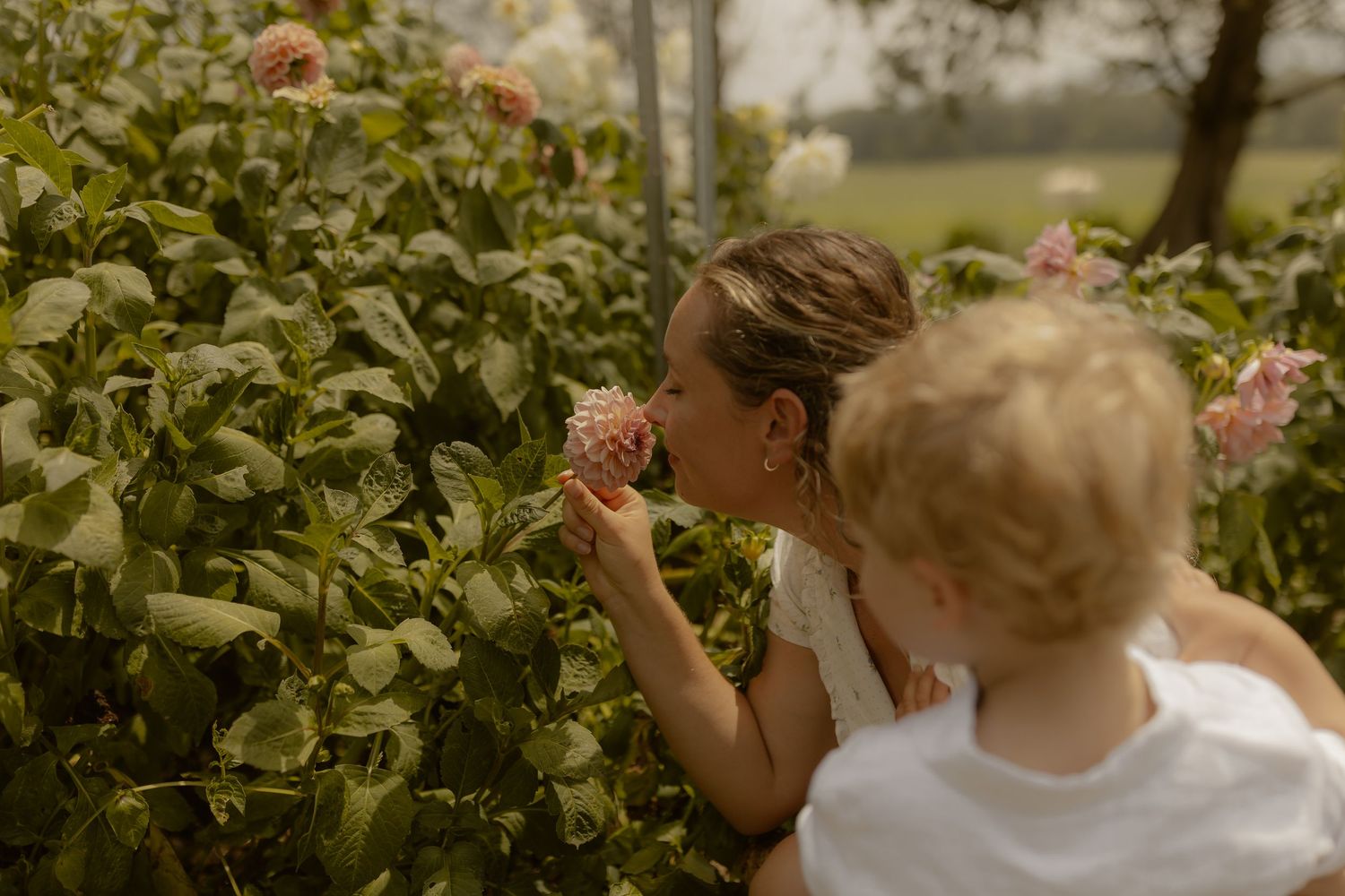 Family in white clothing plays together under a tree in a scenic rural setting.