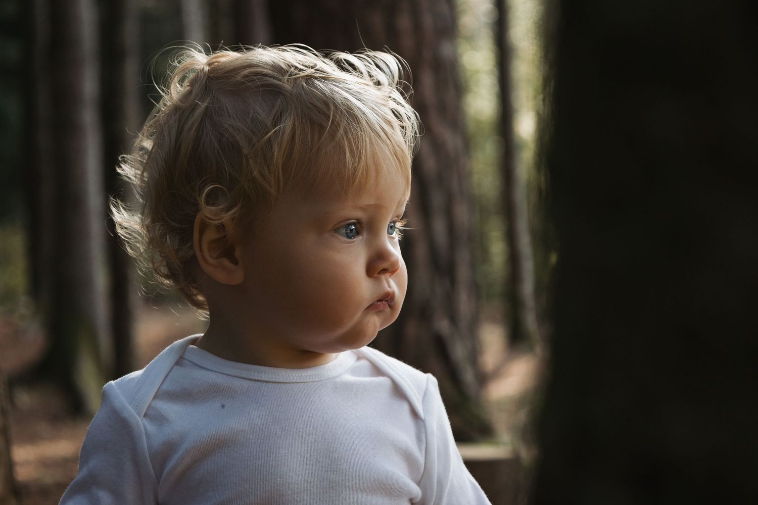 Toddler in white shirt looks pensively to the side in a wooded forest setting.