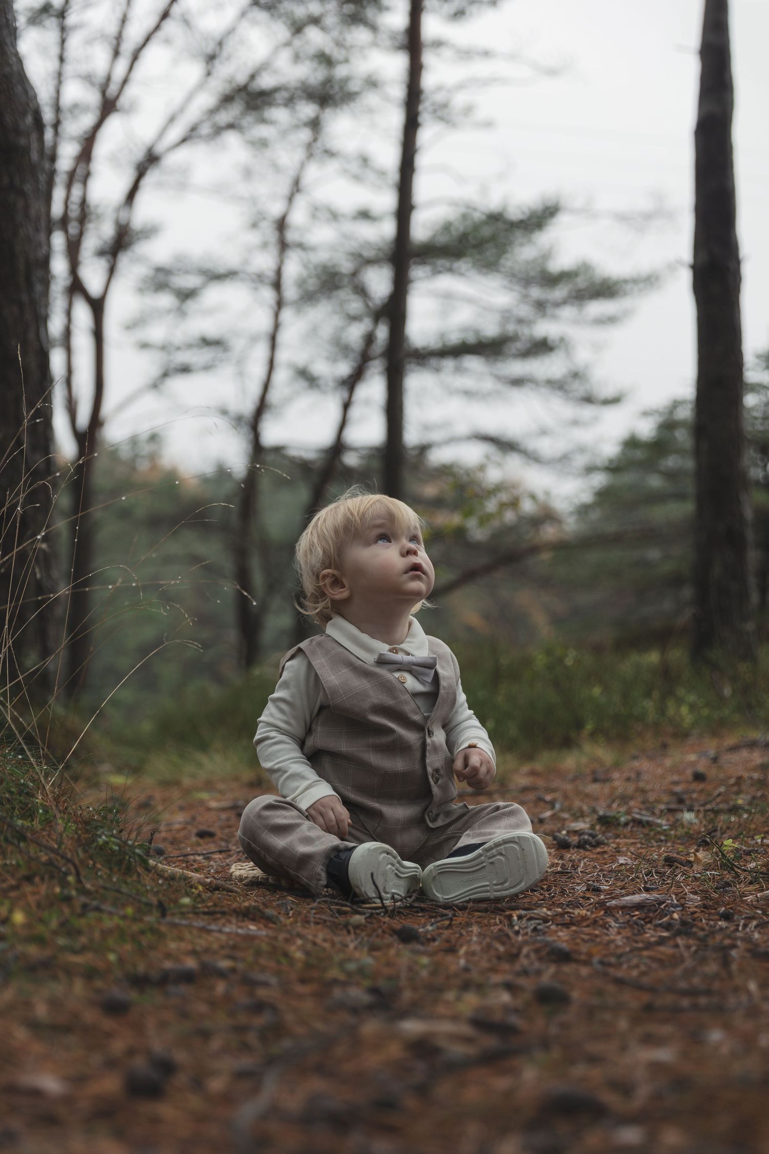 A curious toddler in a gray vest sits cross-legged on a forest path, gazing upward among tall trees.