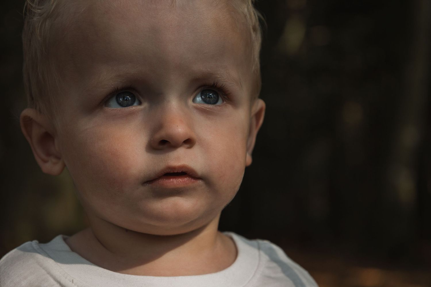 Close-up portrait showing bright blue eyes against dark forest background.