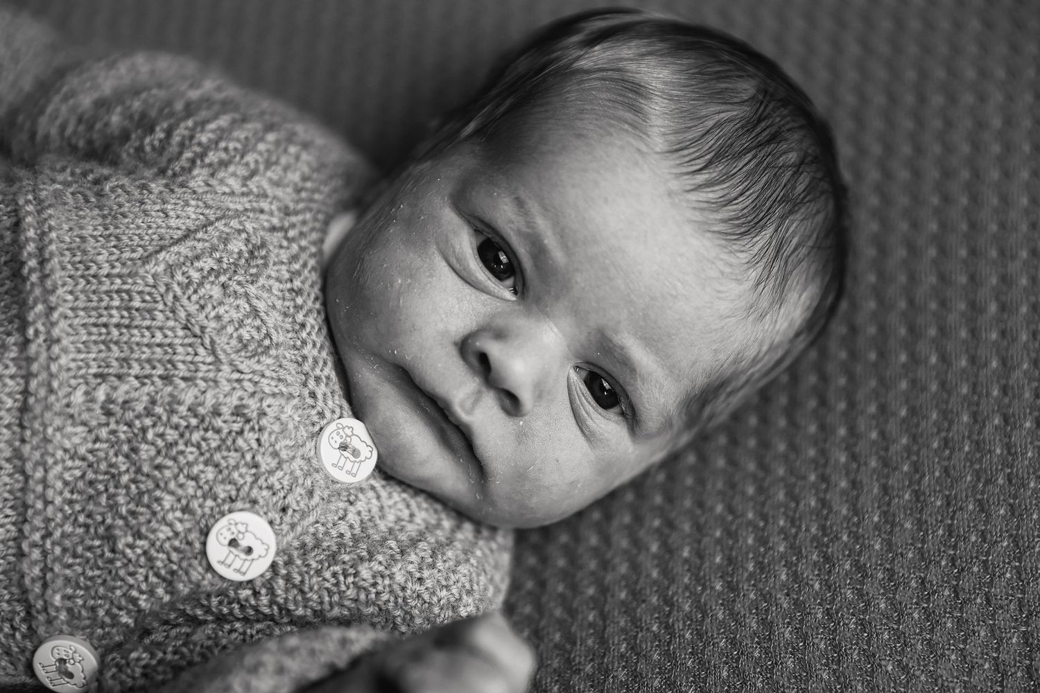 Close up portrait of infant wearing gray knit sweater with buttons.