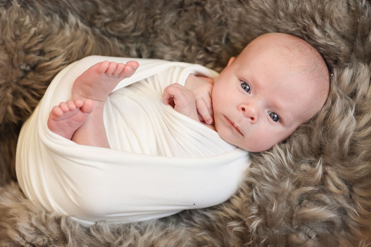 Baby wrapped in soft white swaddle lying on gray faux fur blanket looks at camera with bright blue eyes.