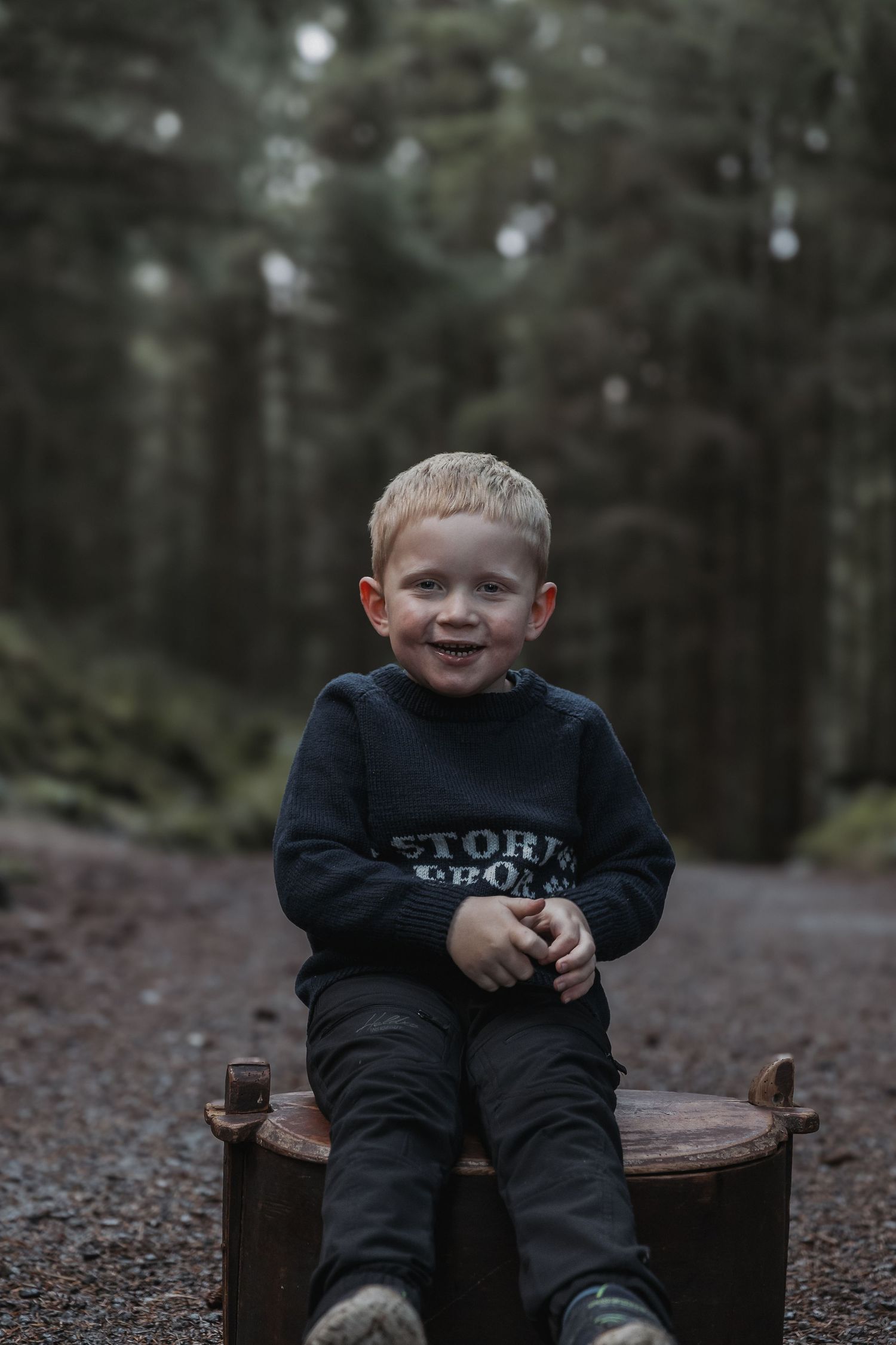 A smiling young boy in a dark sweatshirt sits on a wooden stump along a forest path.