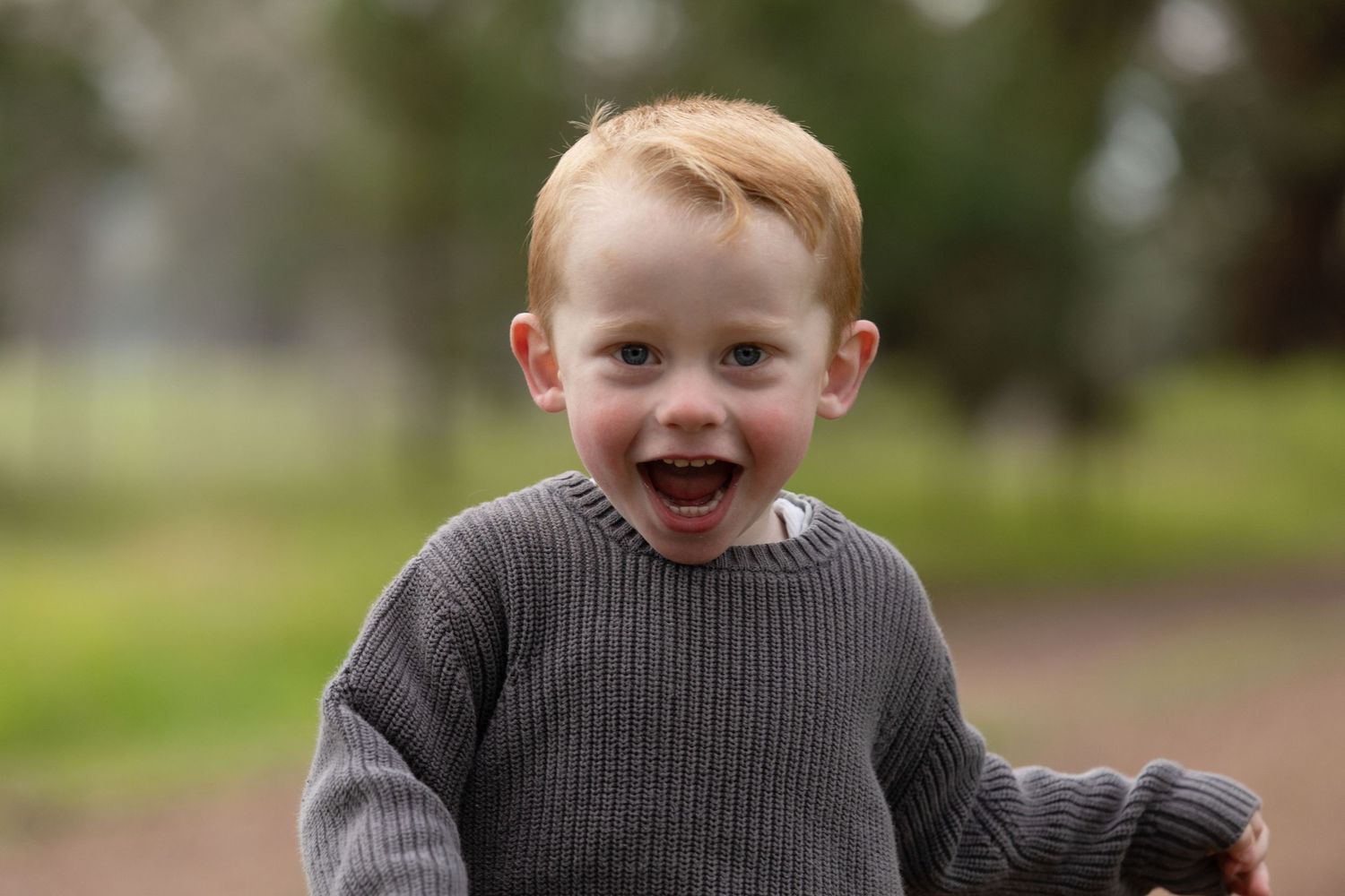 Happy toddler boy with red hair wearing a grey sweater, smiling outdoors in a park setting.
