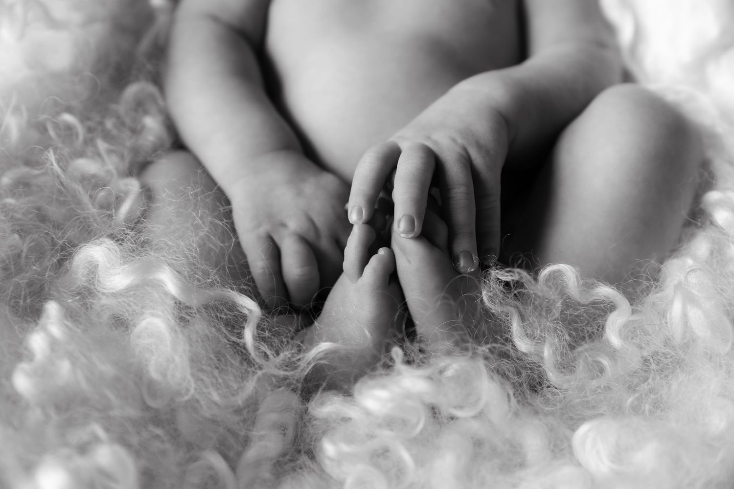 Black and white close-up of a newborn baby's tiny hands and feet resting on soft curly wool.