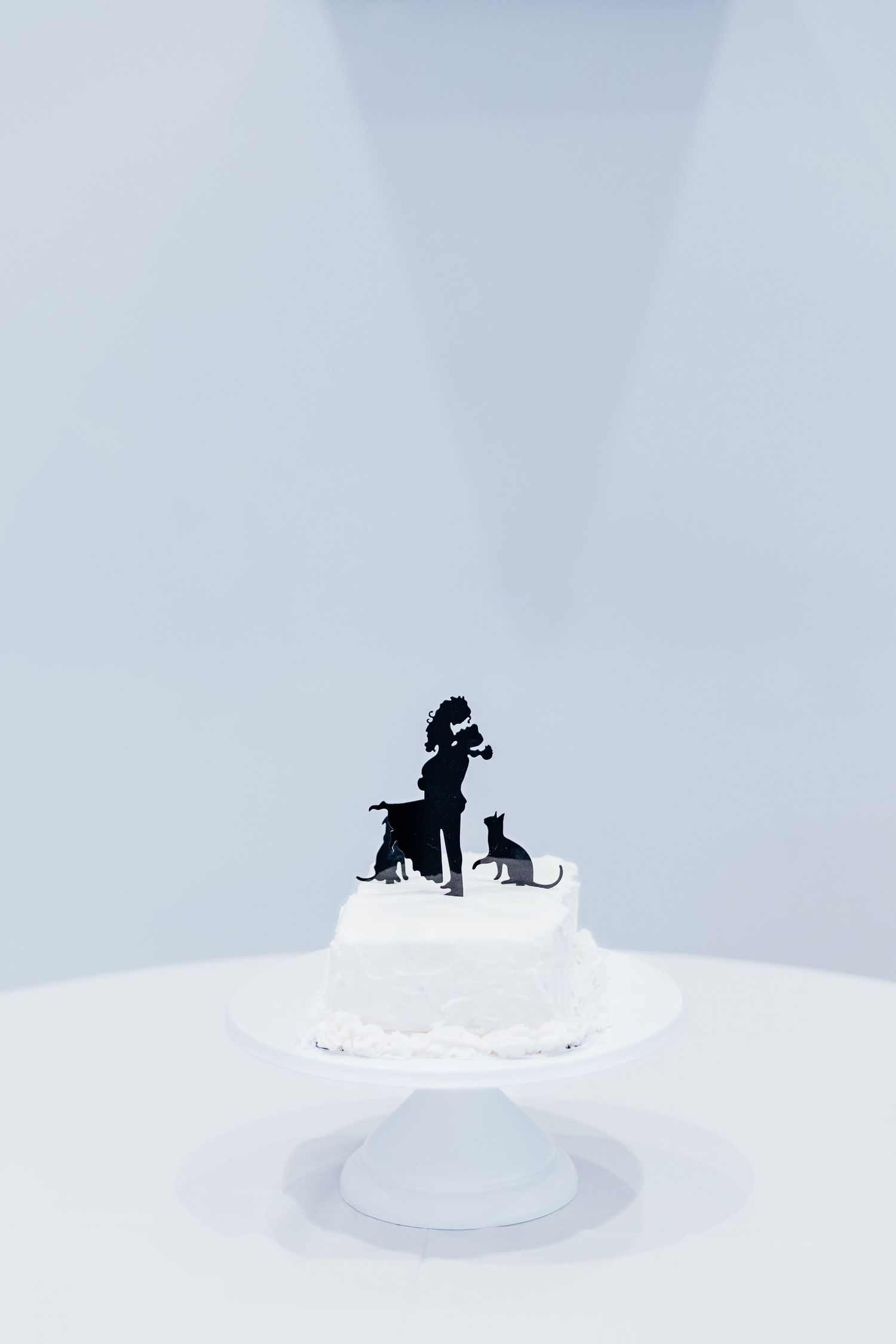 Minimalist white cake topper featuring silhouettes of a couple with their pets.