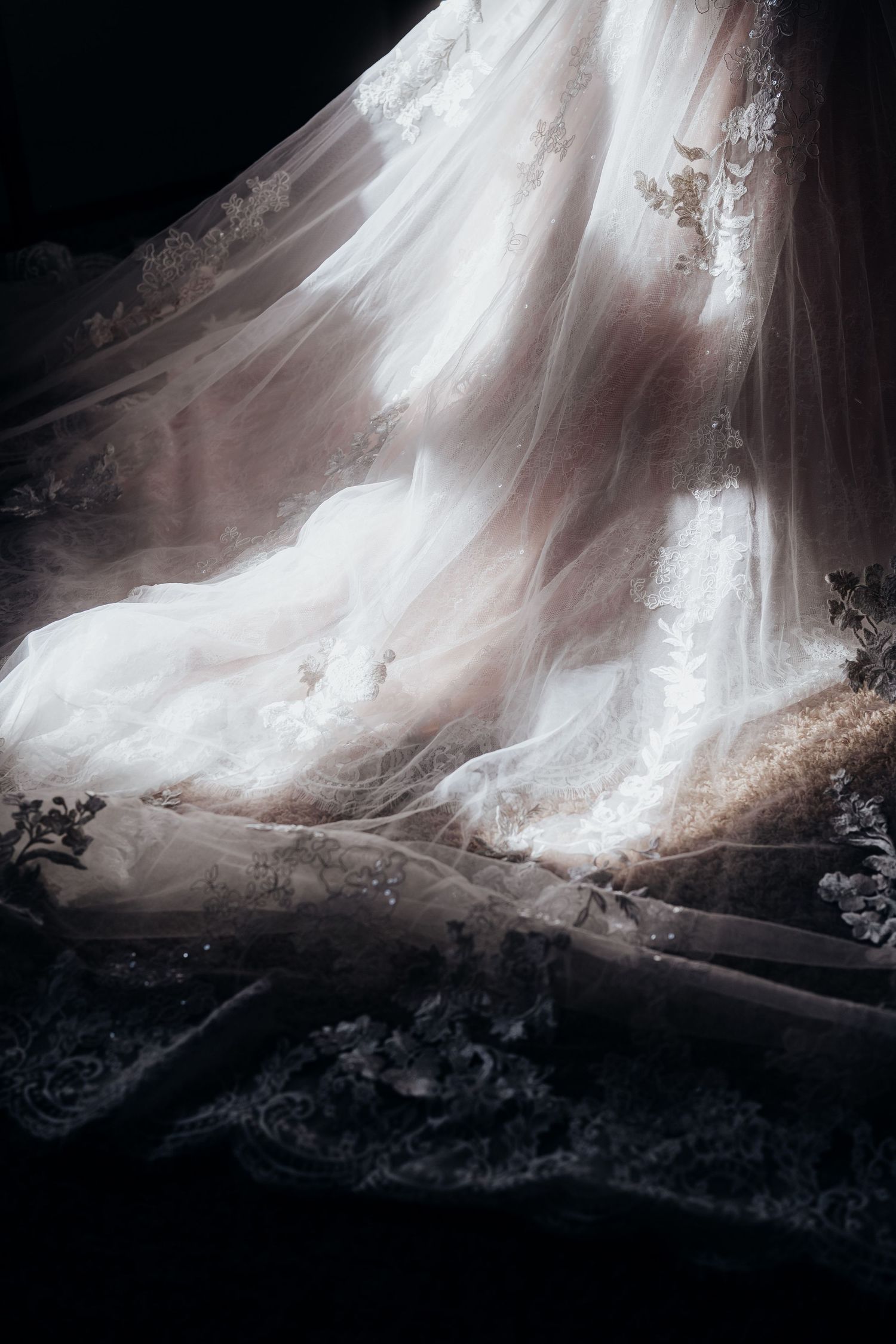 Ethereal bridal veil with delicate lace details captured in dramatic lighting.