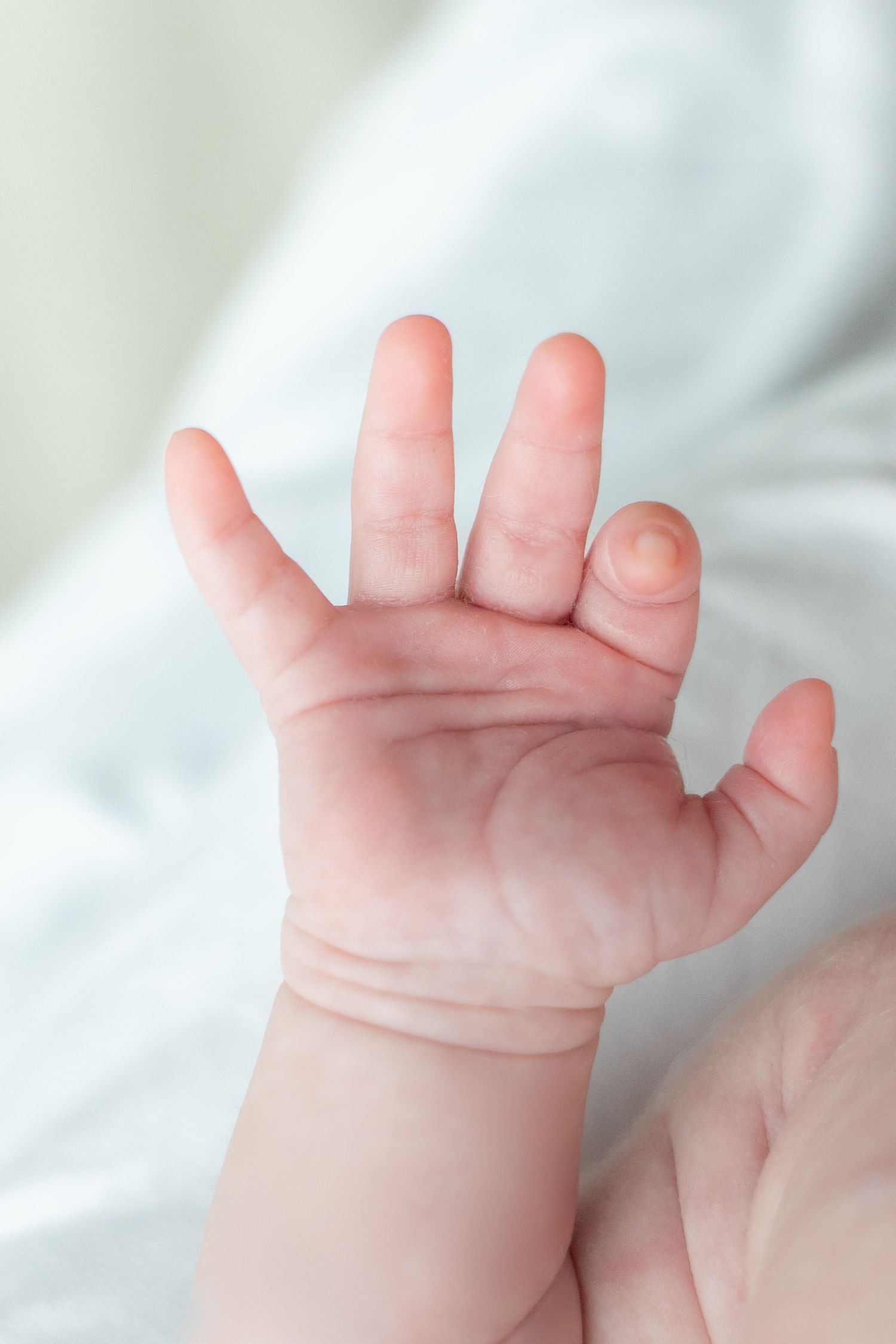 Close-up of tiny infant hand showing delicate fingers and palm details.