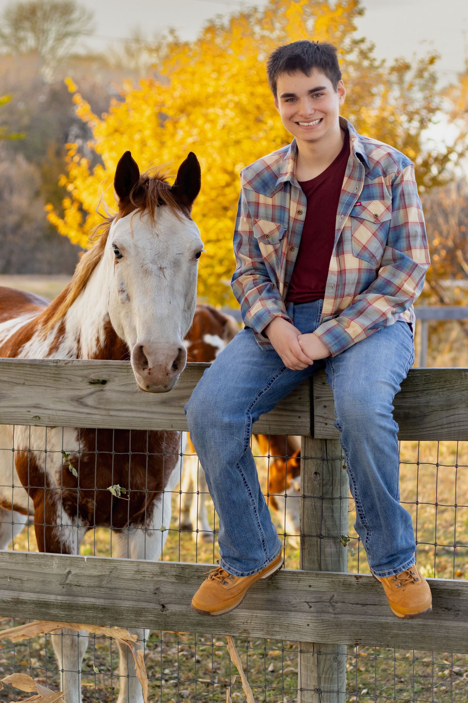 A person sits on a wooden fence next to a white horse against golden autumn foliage.