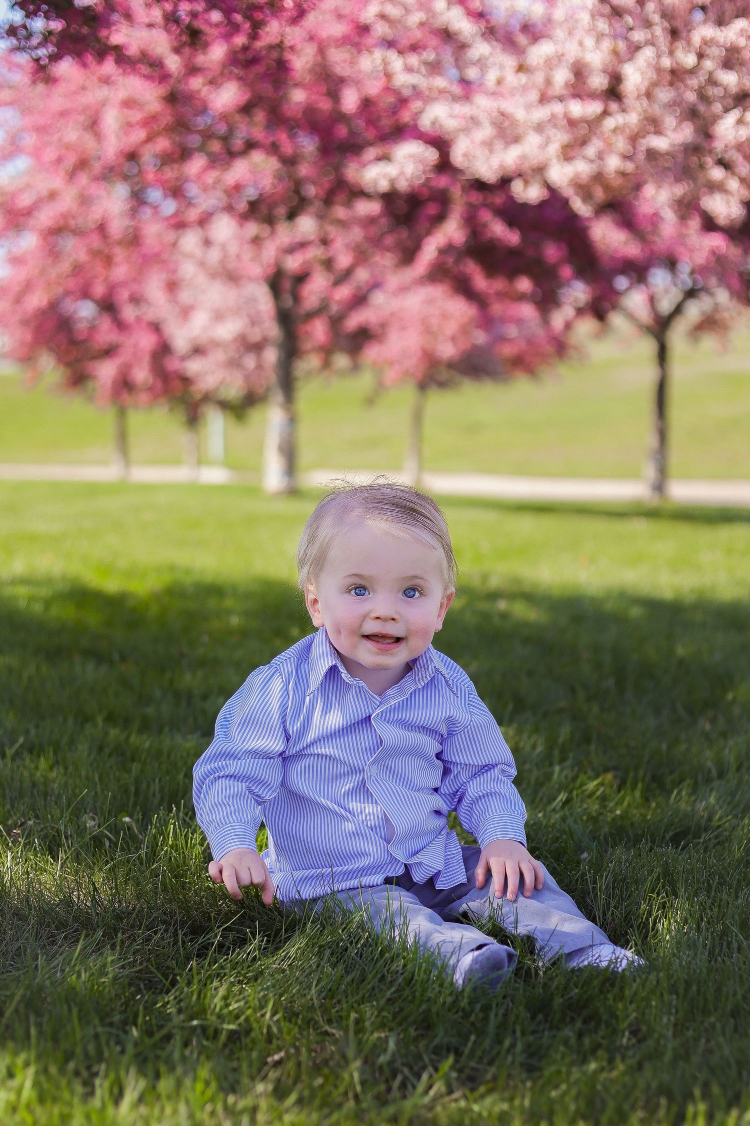A toddler in a light blue outfit sits on grass under blooming cherry trees.