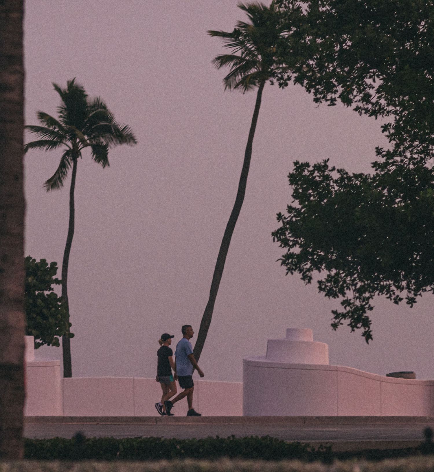 Silhouettes of people walking along wall with palm trees at dusk.